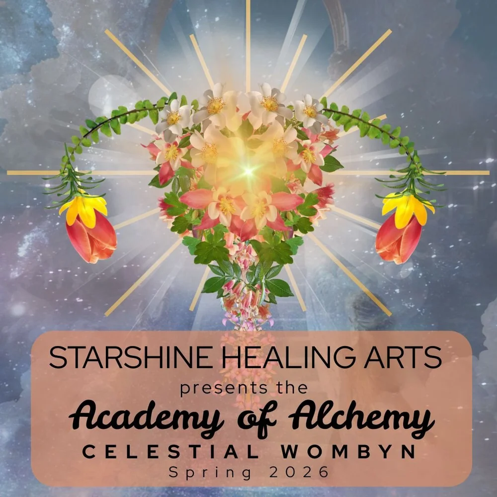 Academy of Alchemy | Discover Healing Opportunities — Starshine Healing ...