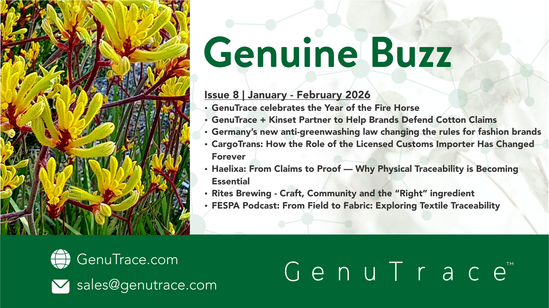 Newsletter header Jan Feb 2026.png