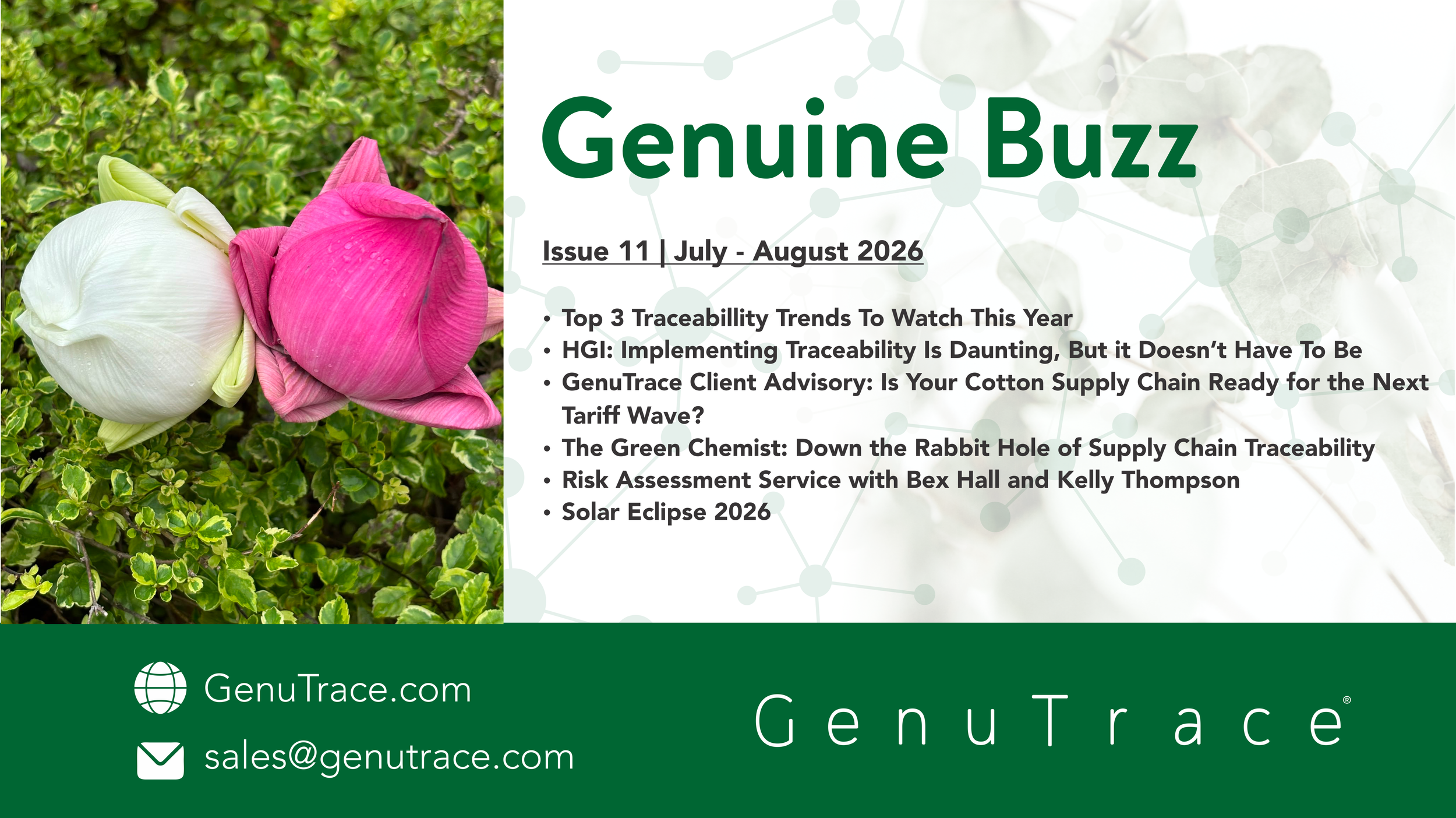 Newsletter header july aug 2026.png