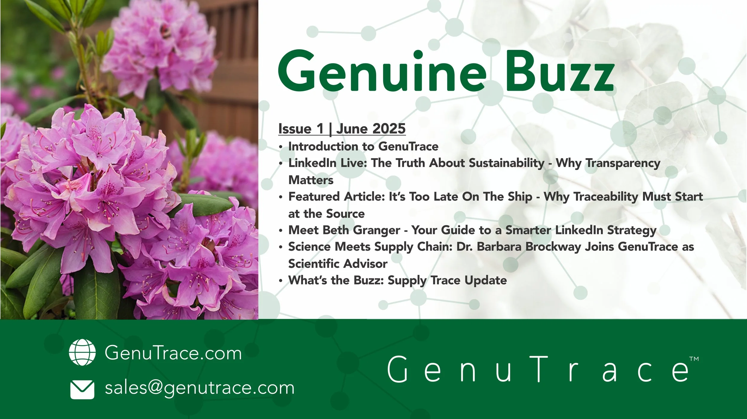 June Newsletter header.jpg