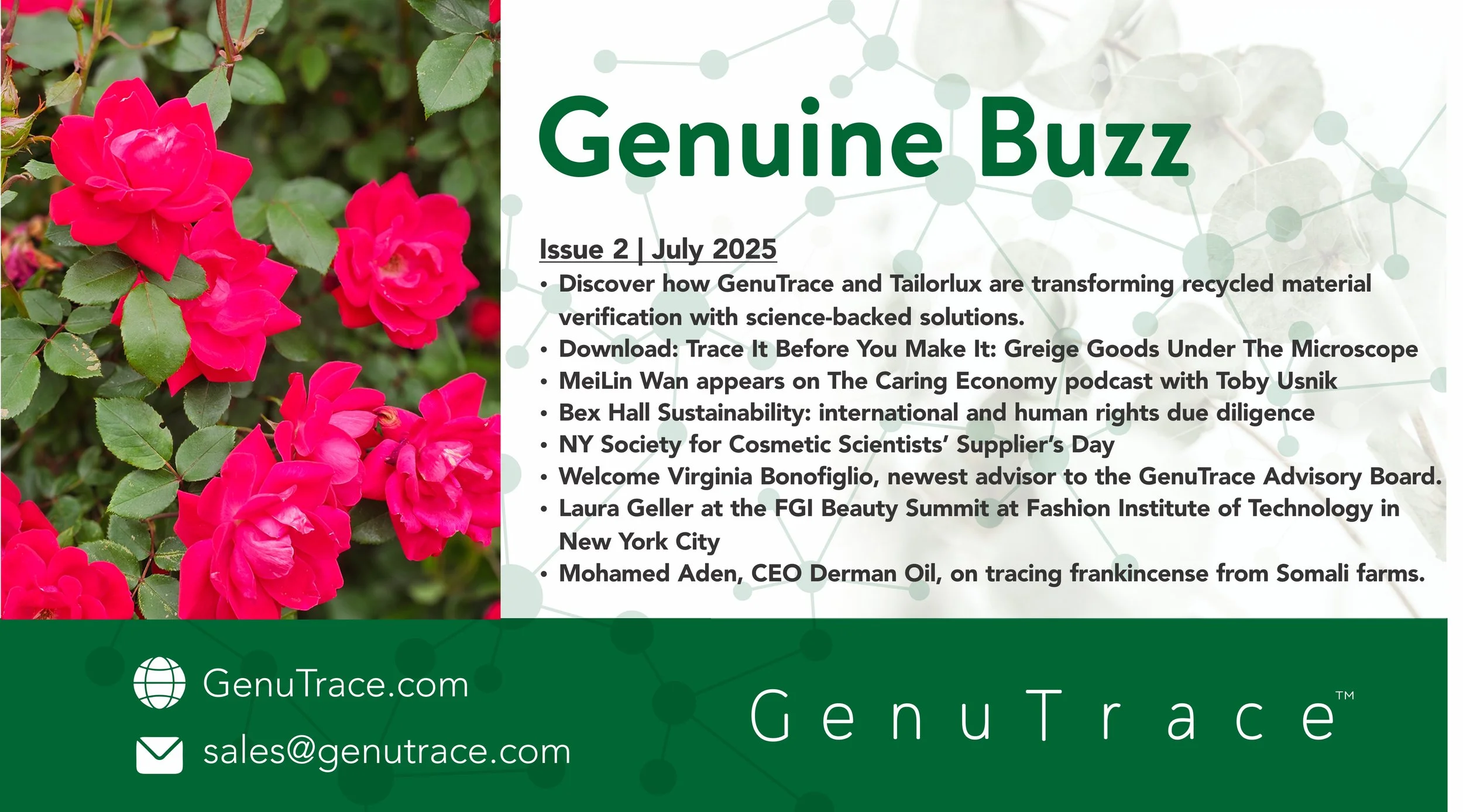 July Newsletter header.jpg