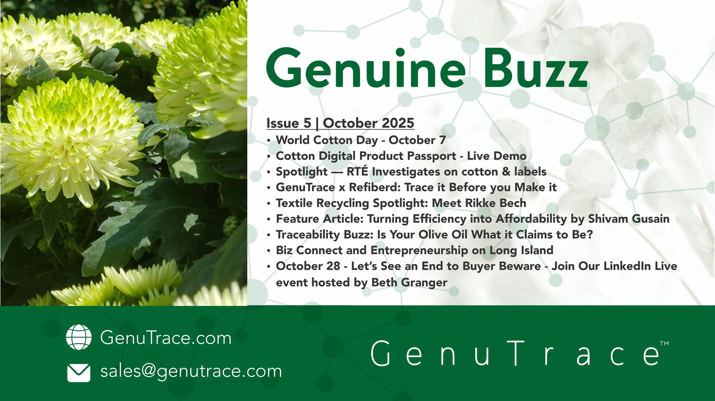 Oct Newsletter header.jpg