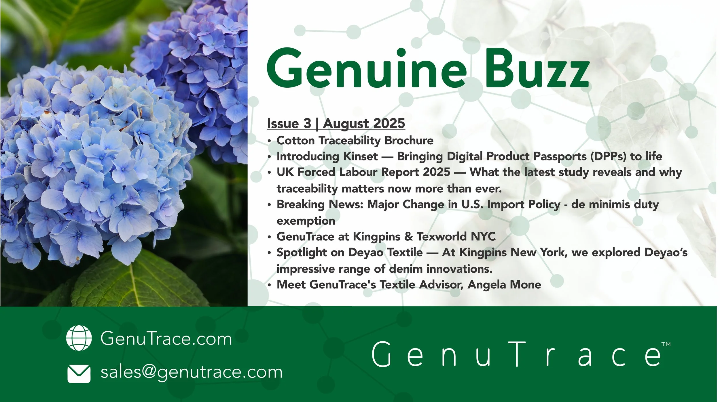 Aug Newsletter header.jpg