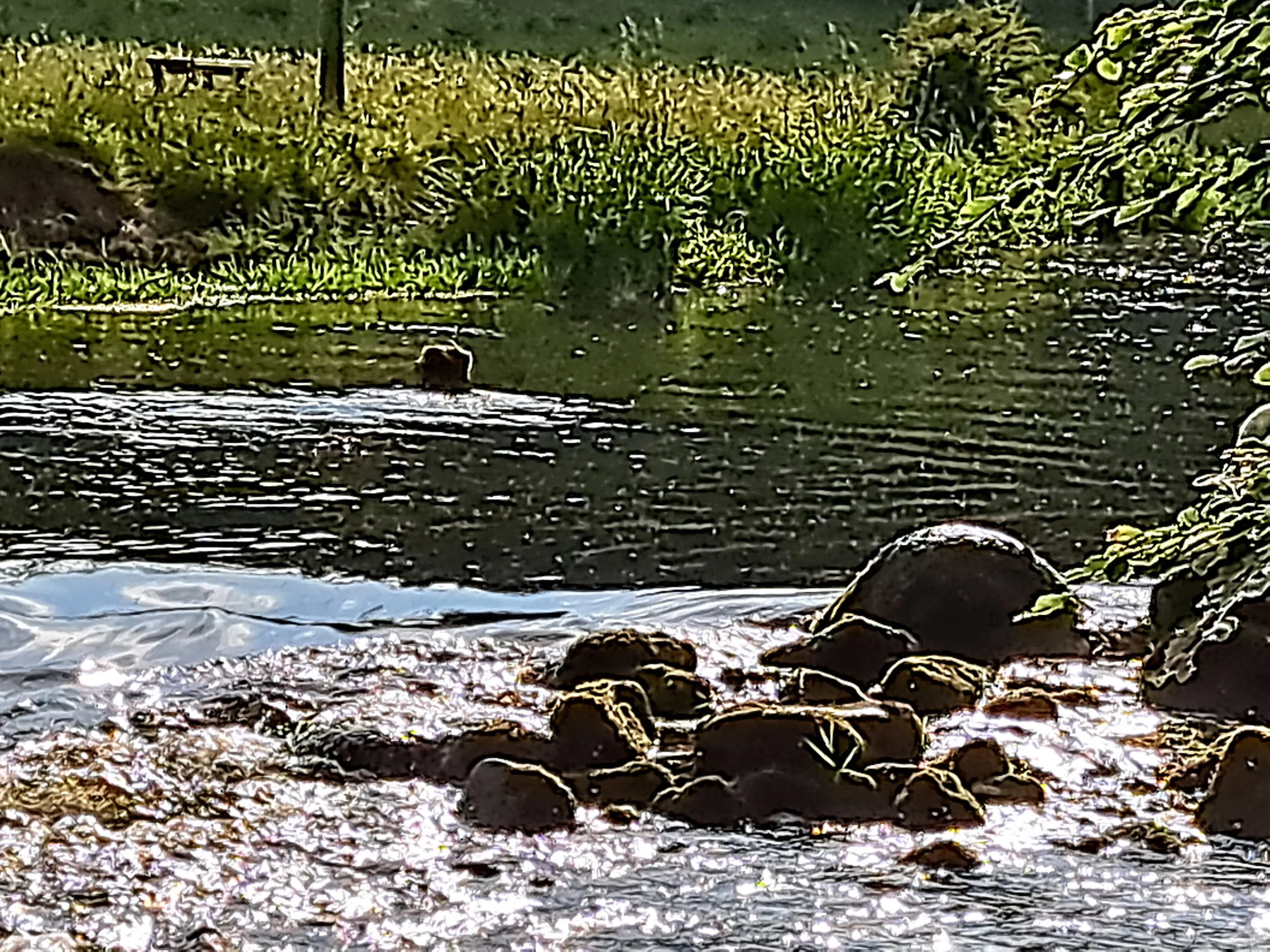 20230614_080710 - Copy.jpg