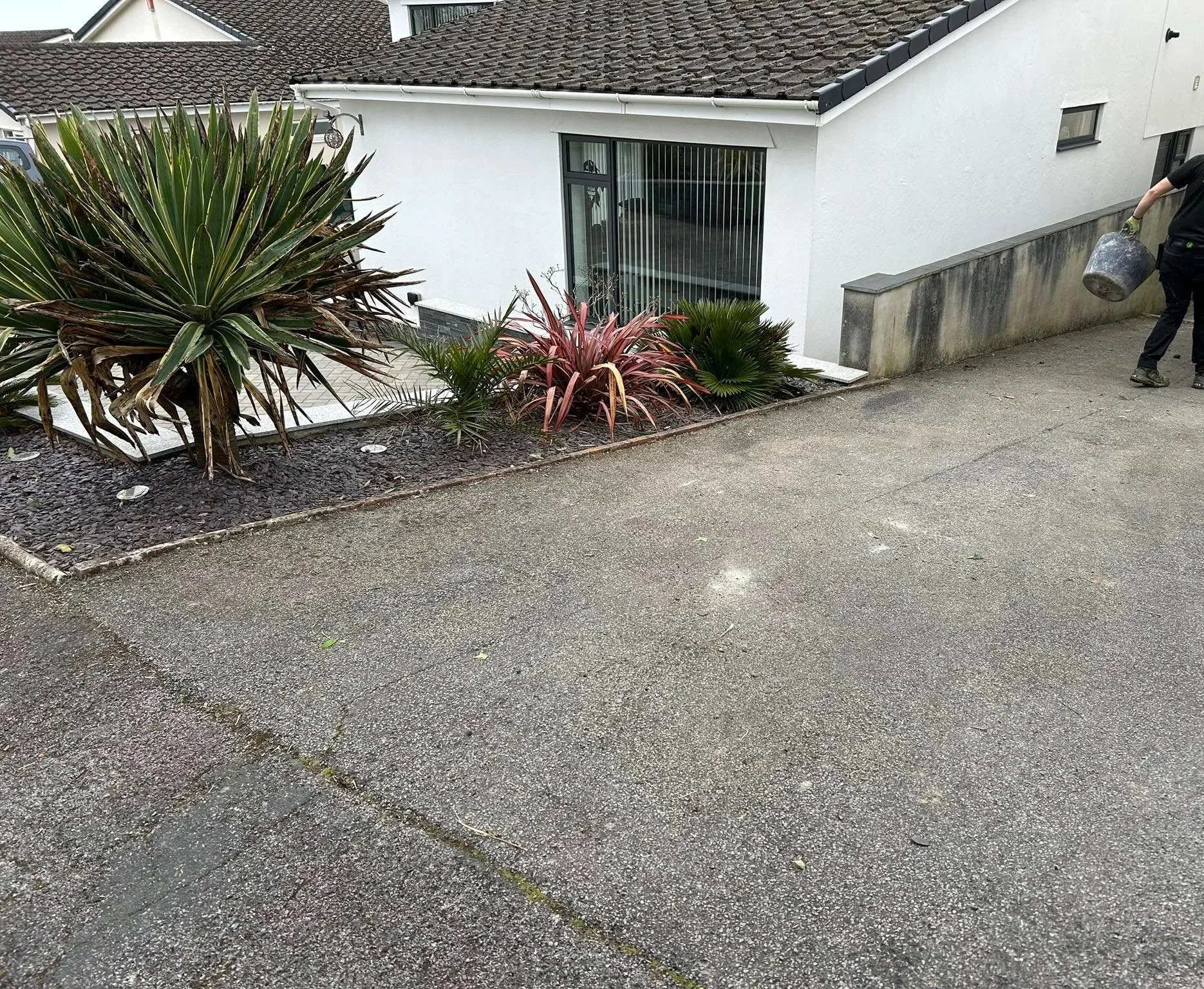 A person carrying a metal bucket walks past a garden bed with various plants, near a white house with a sloped roof and a large window with vertical blinds.
