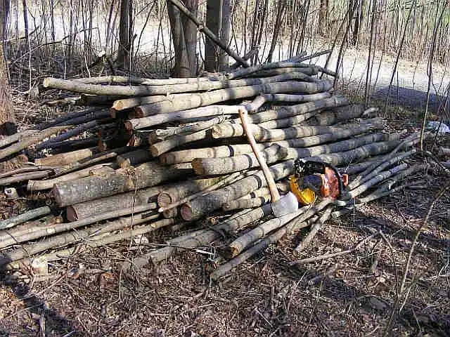 felled-logs-ready-for-cutting-up-into-firewood1.webp