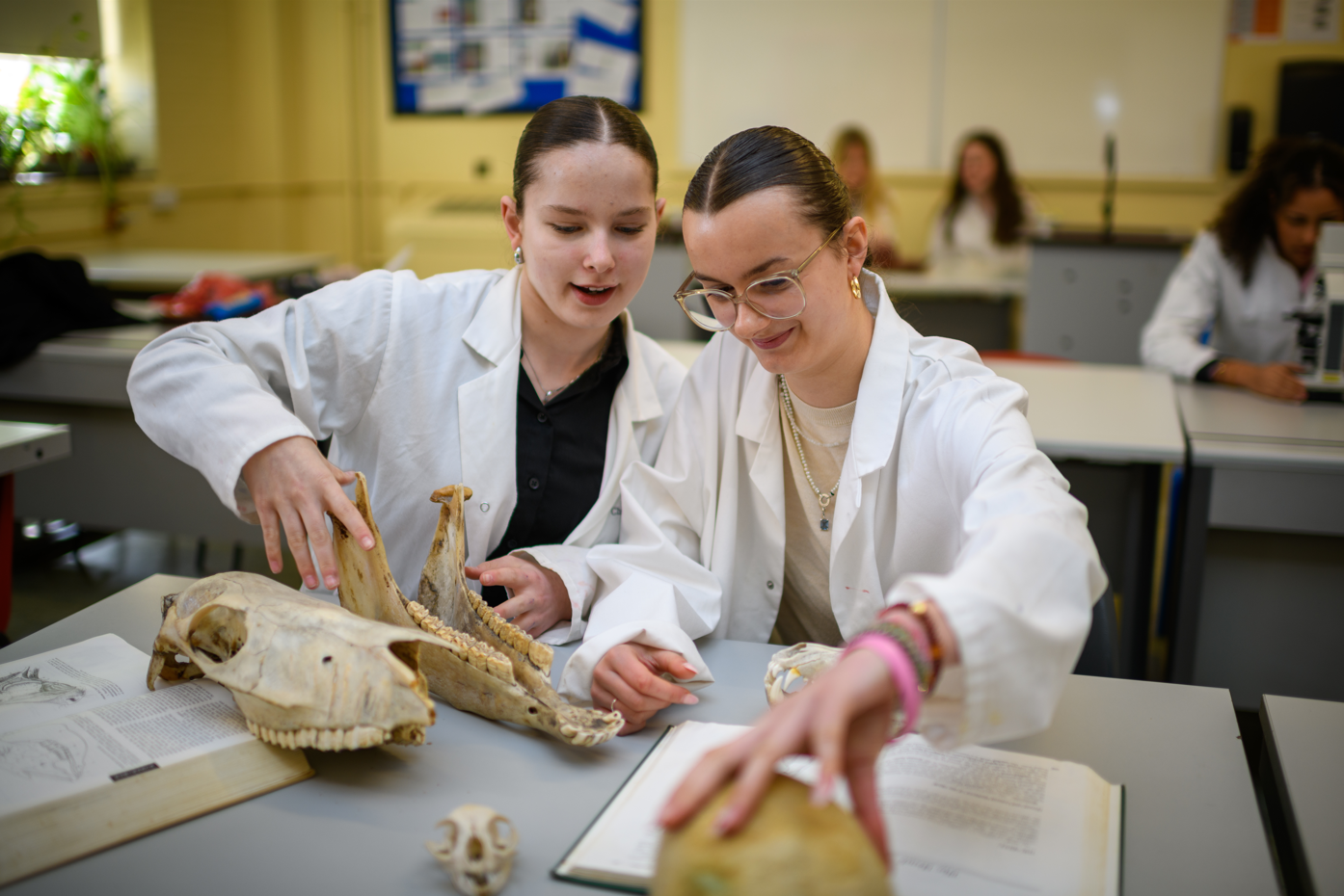 British Science programs