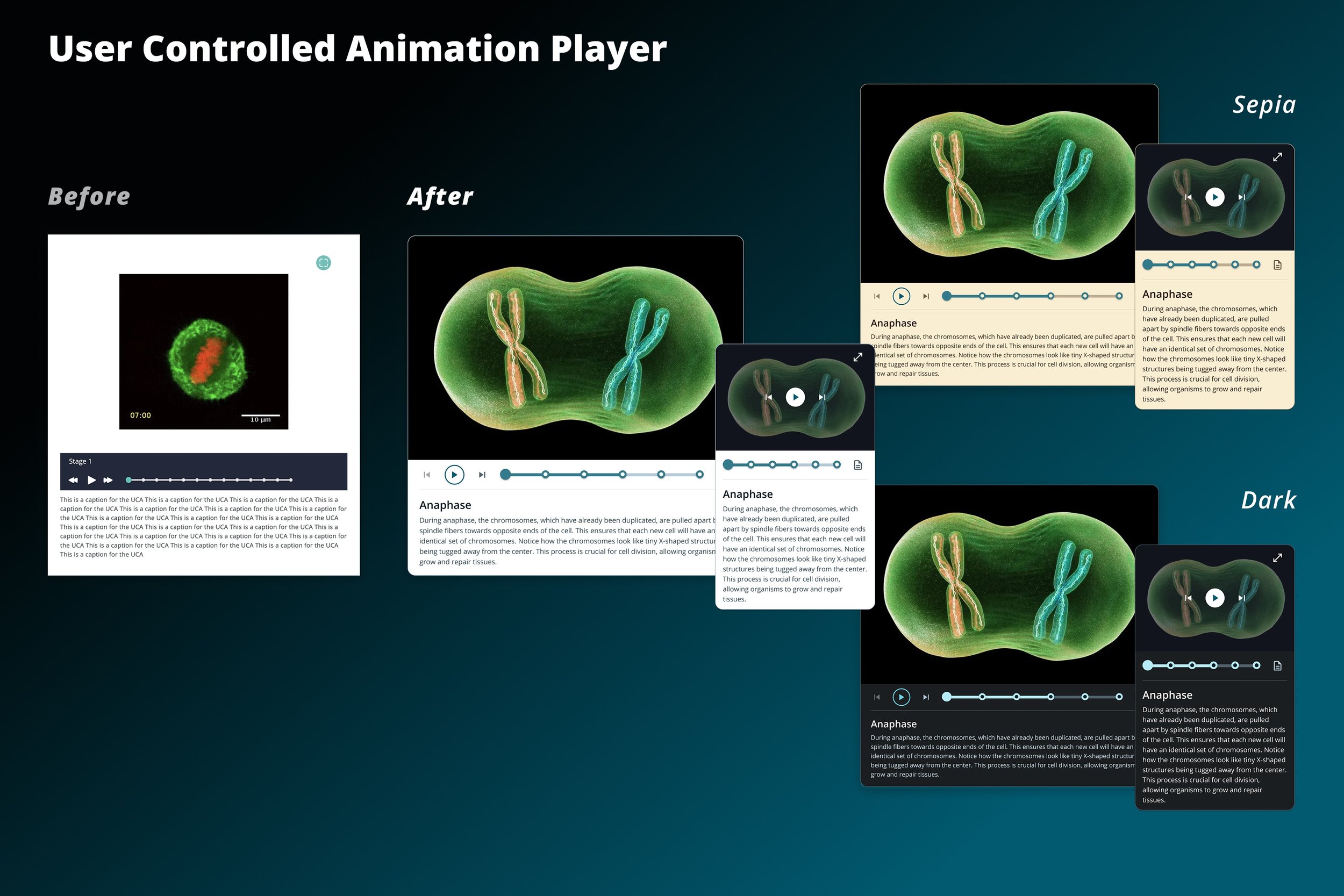 The user controlled animation is an interactive annotated short video