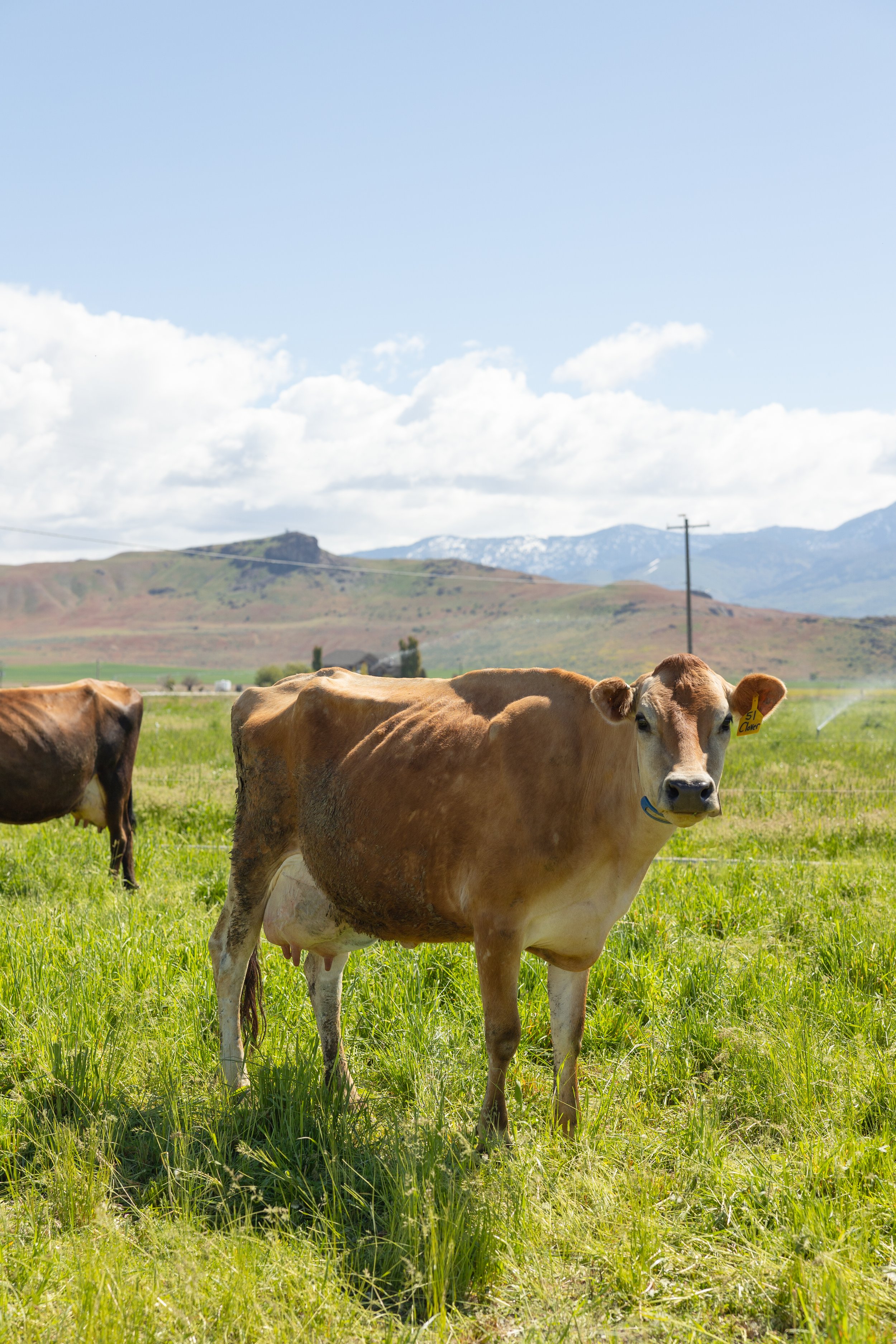 Hidden Gems for Filming in Cache Valley