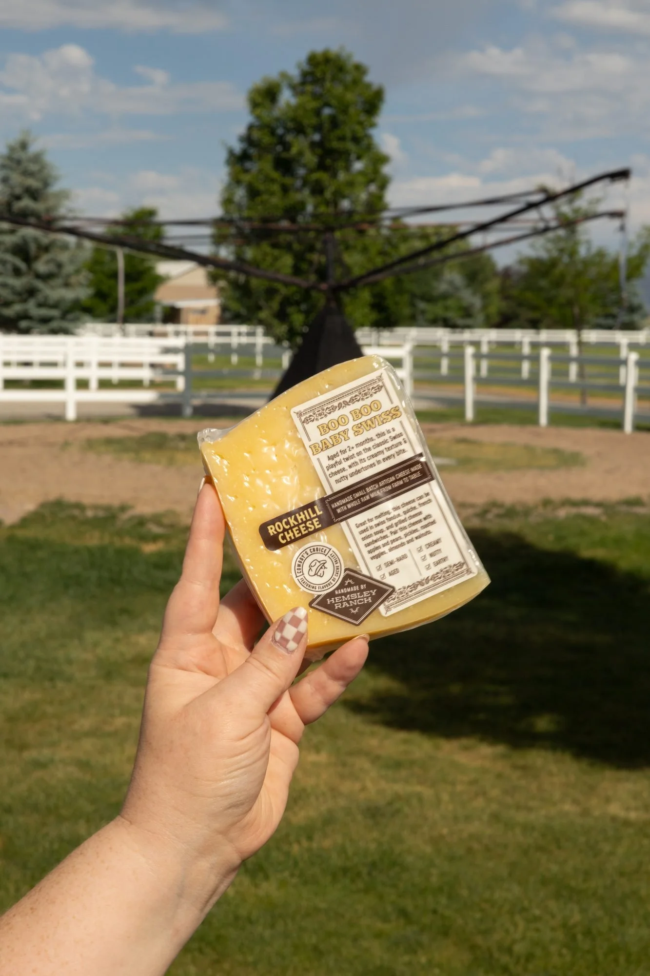 A hand holding a wedge of Rockhill Cheese over a lawn with a white fence and trees behind