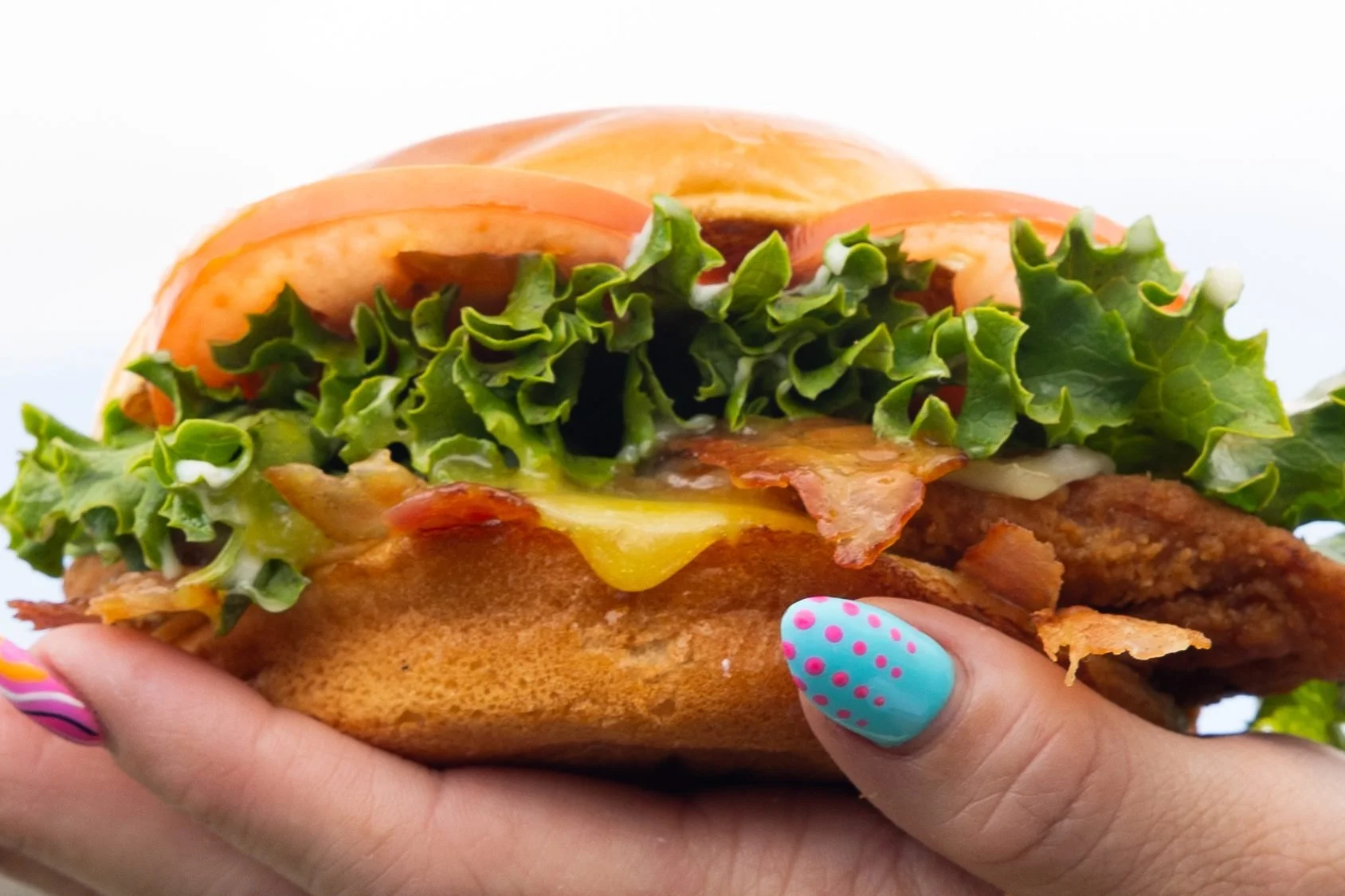 A hand holds a crispy chicken sandwich with lettuce, cheese and bacon against a white background