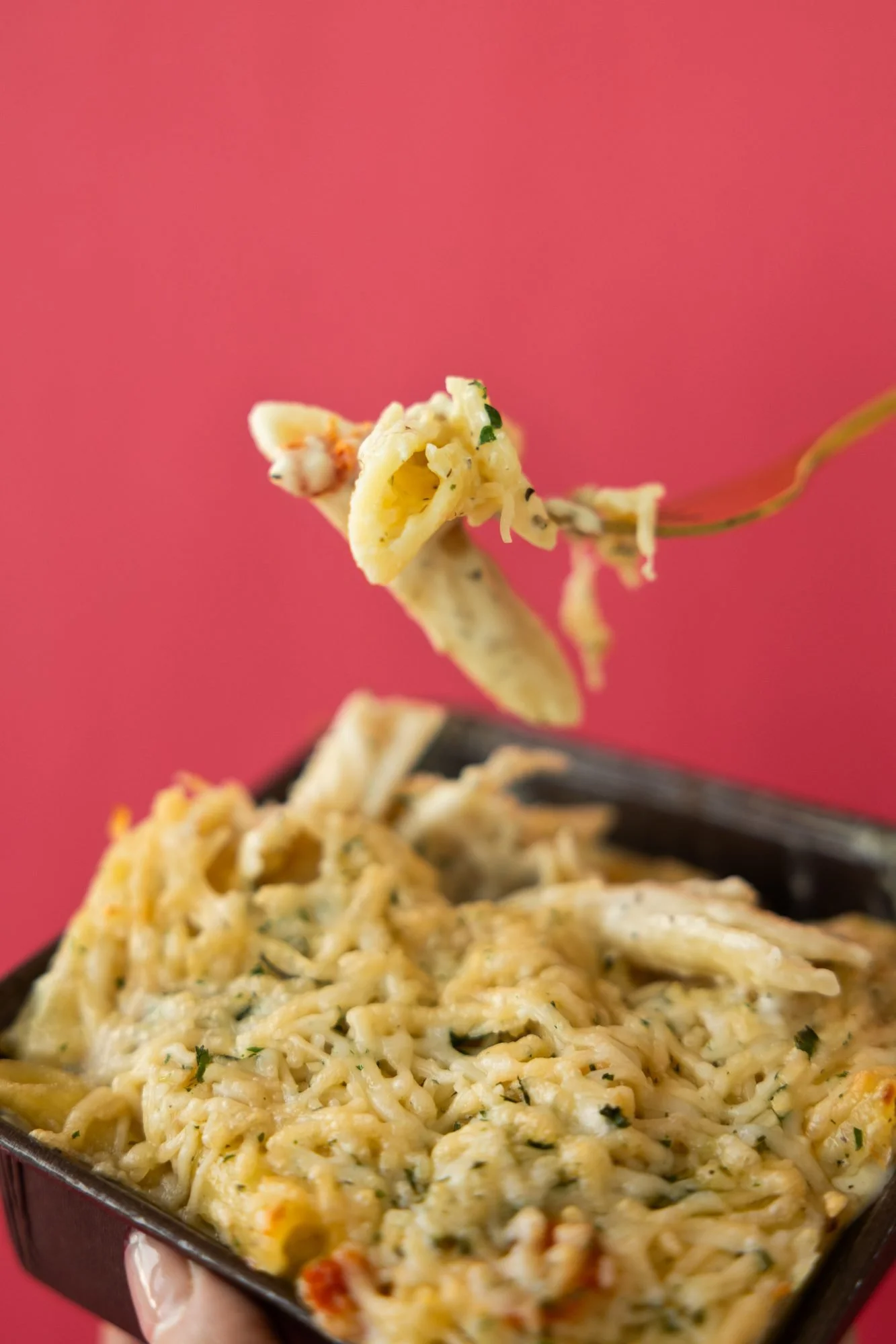 A fork lifts creamy pasta from a foil tray held against a red background