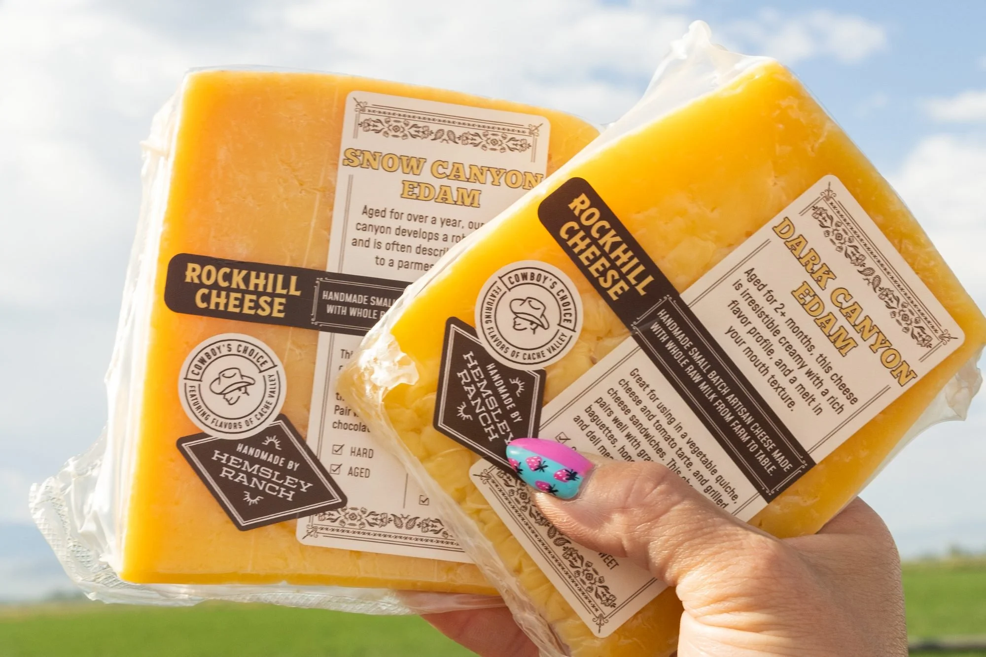 Two wrapped blocks of Rockhill cheese held up against a bright sky over a green field