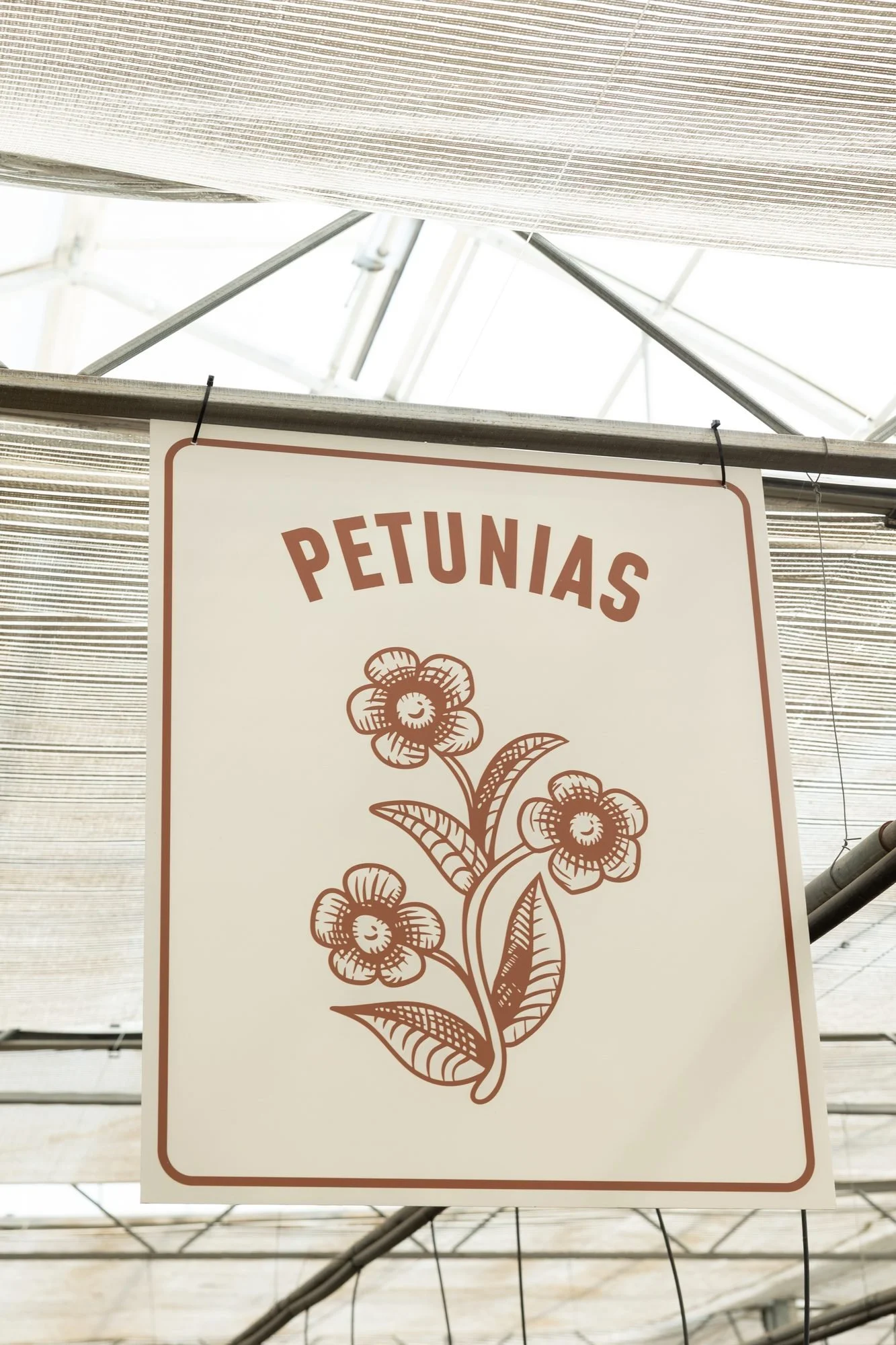 A hand-drawn Petunias sign hanging from the greenhouse ceiling