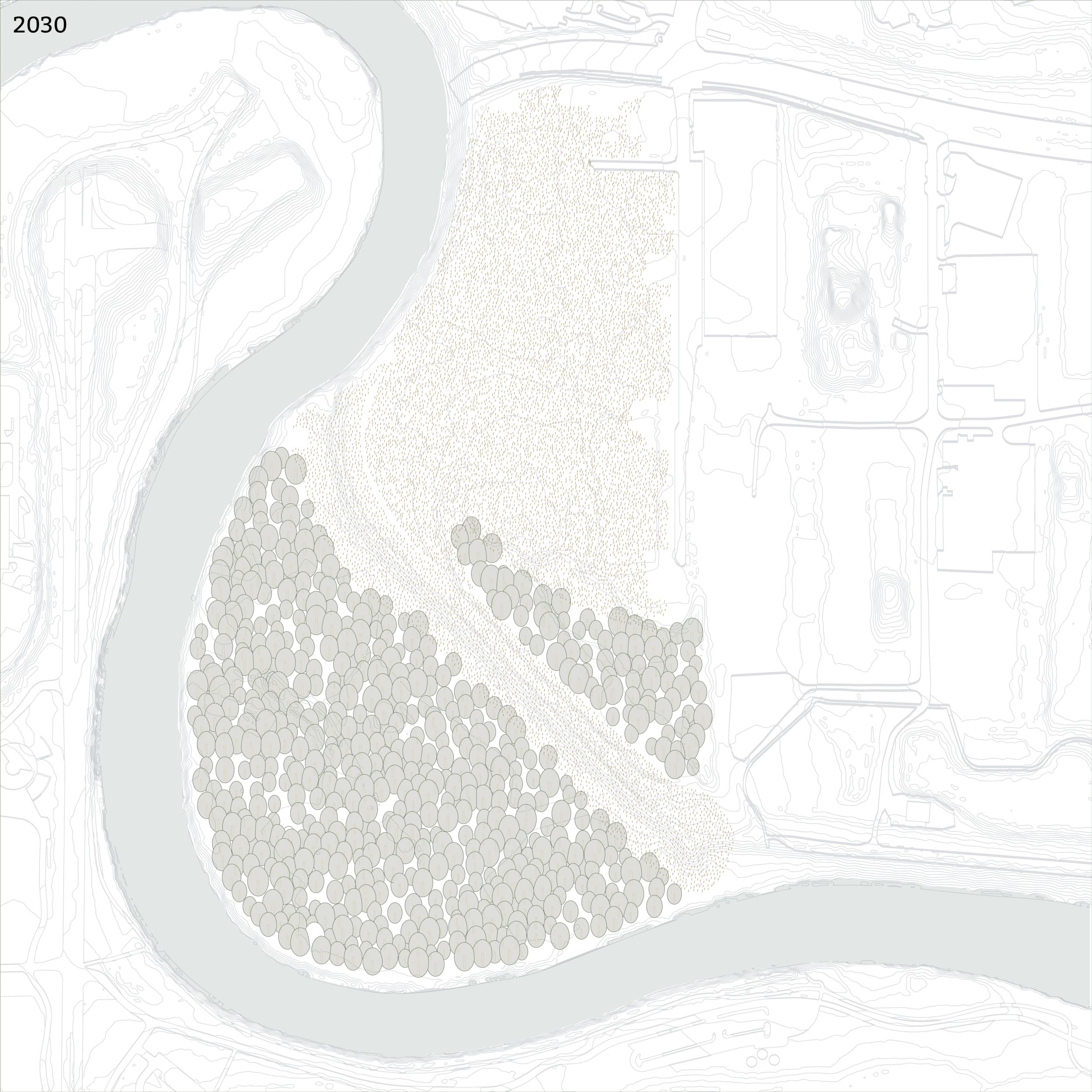 Site-Evolution.gif