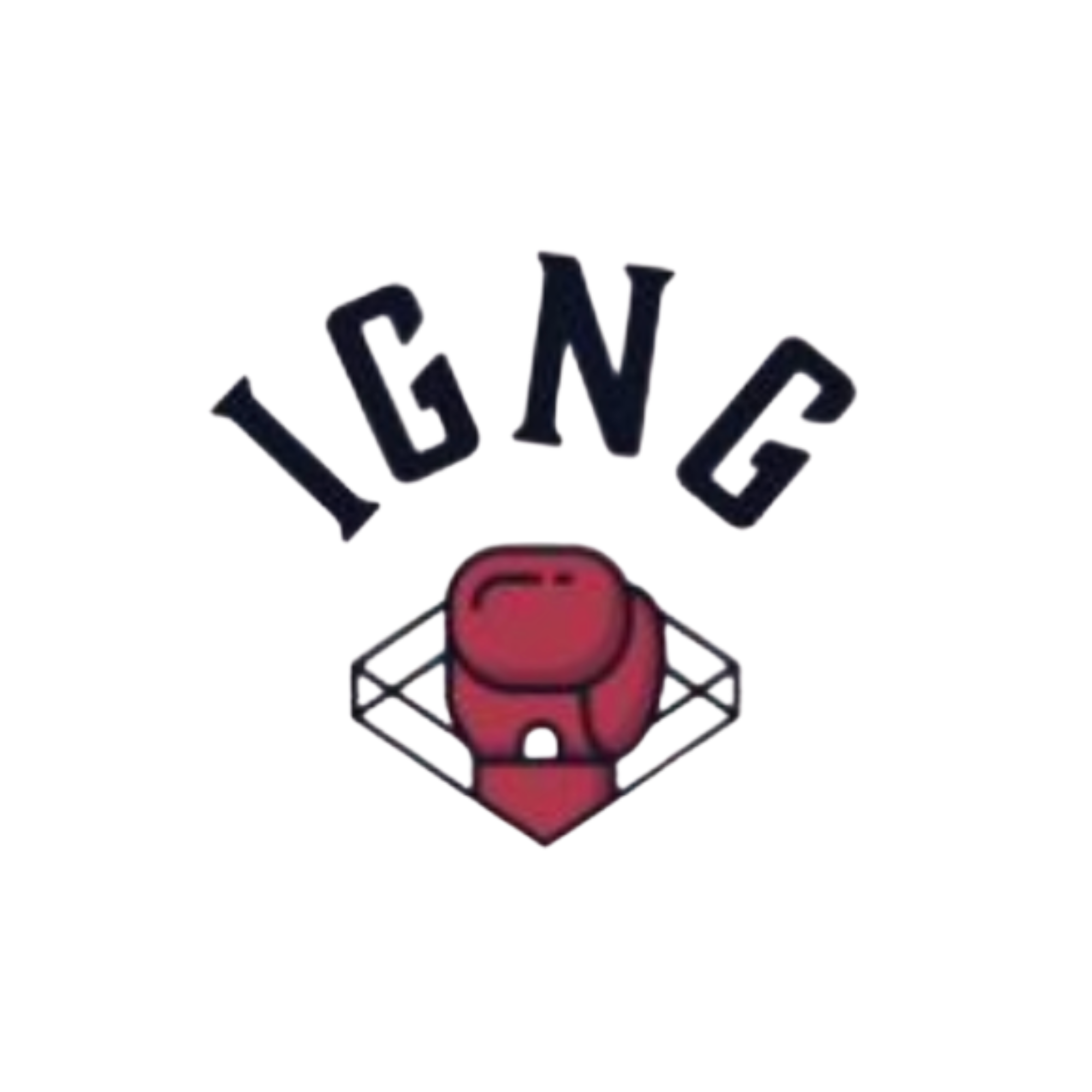 logo igng .png
