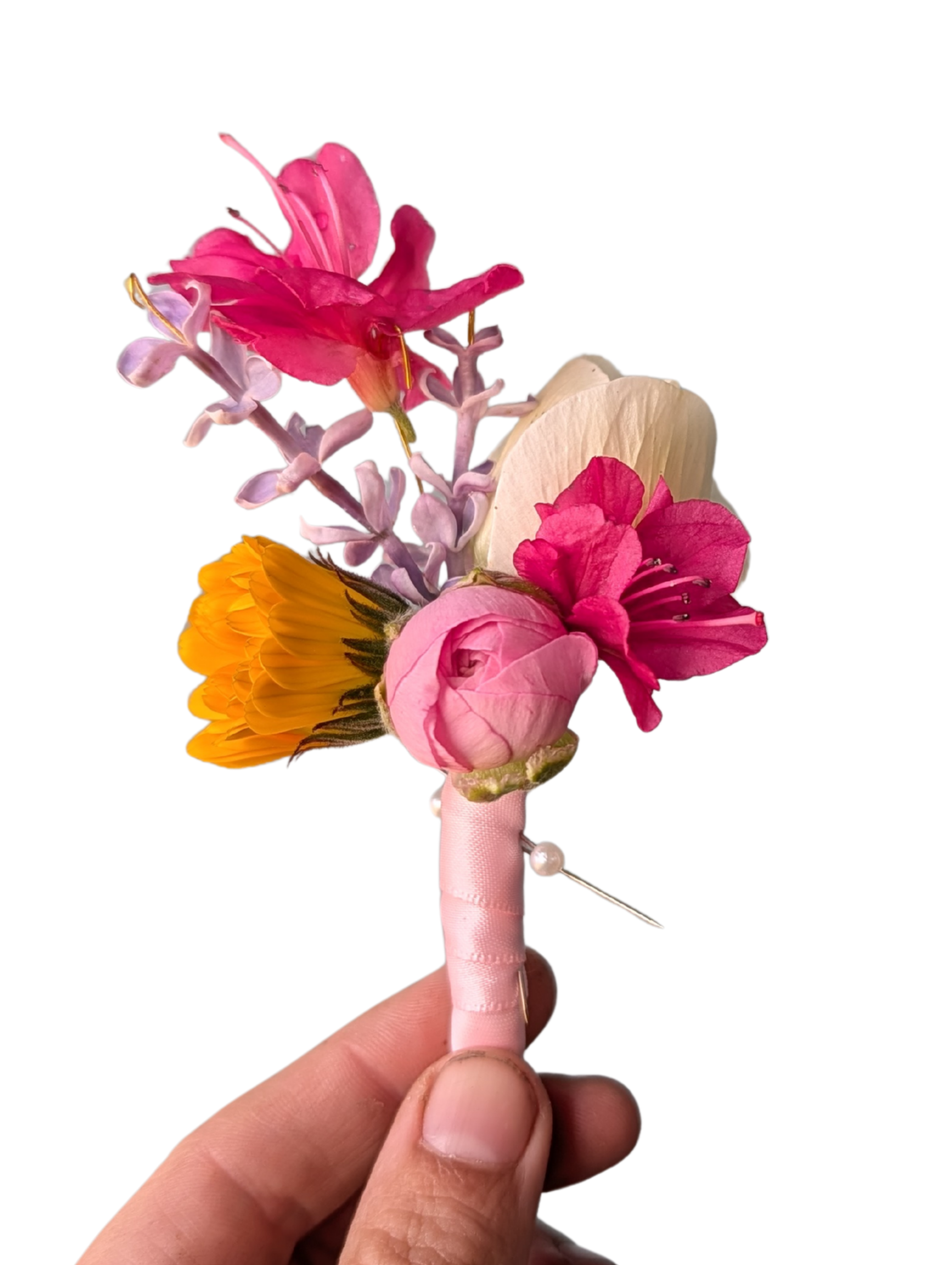 Untitled design (1).png