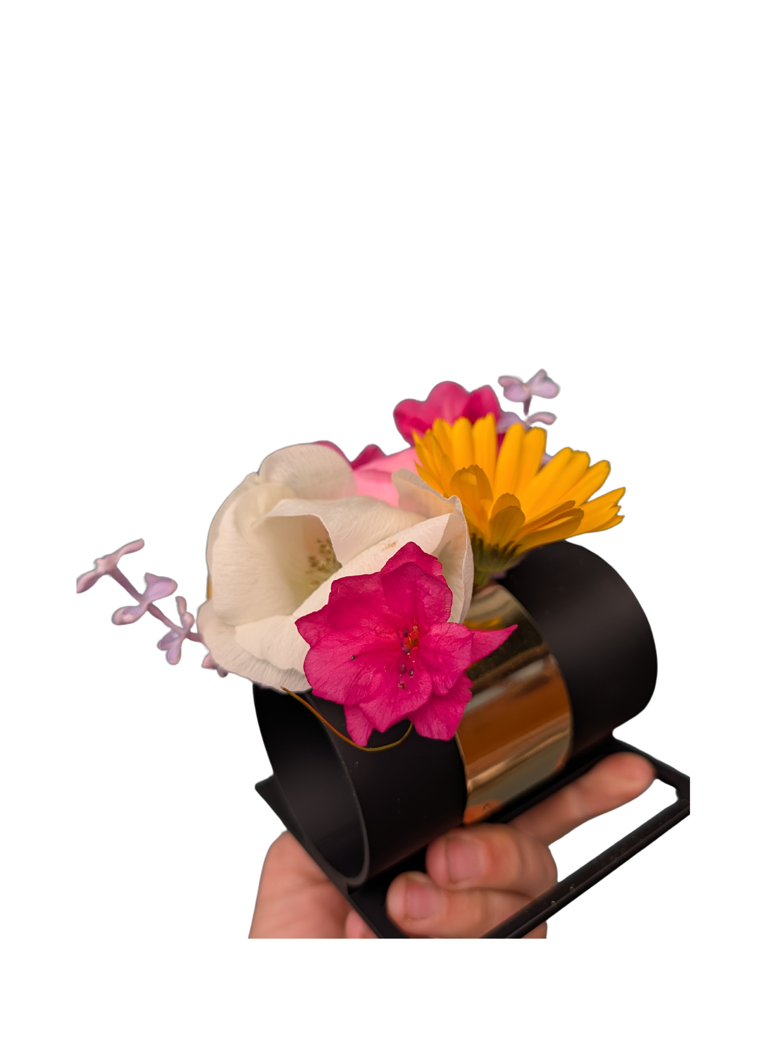 Untitled design.png