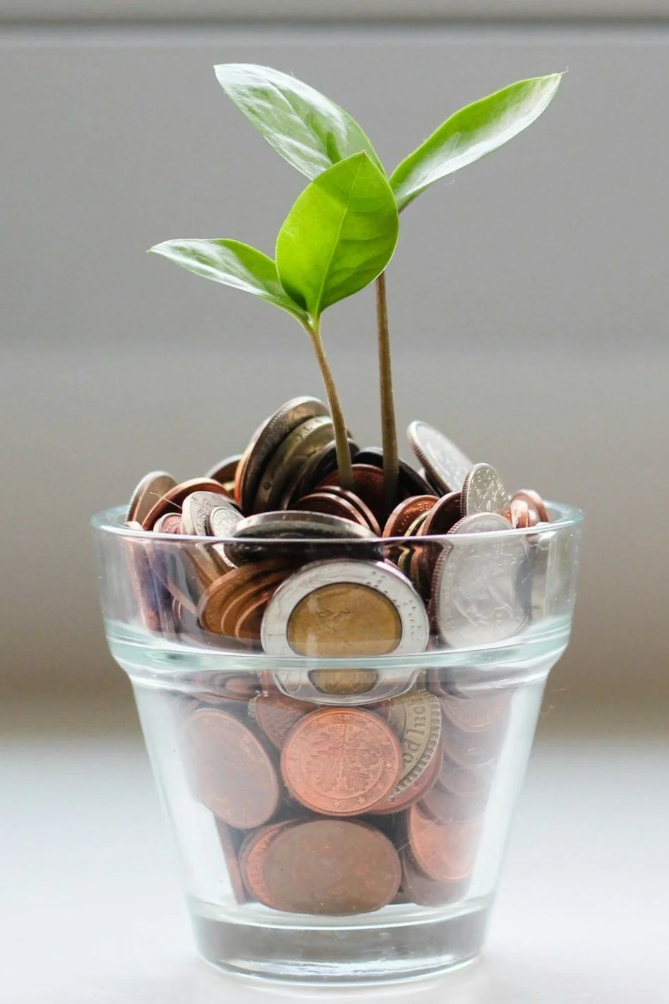 A glass pot filled with coins, with a small plant growing from the coins.