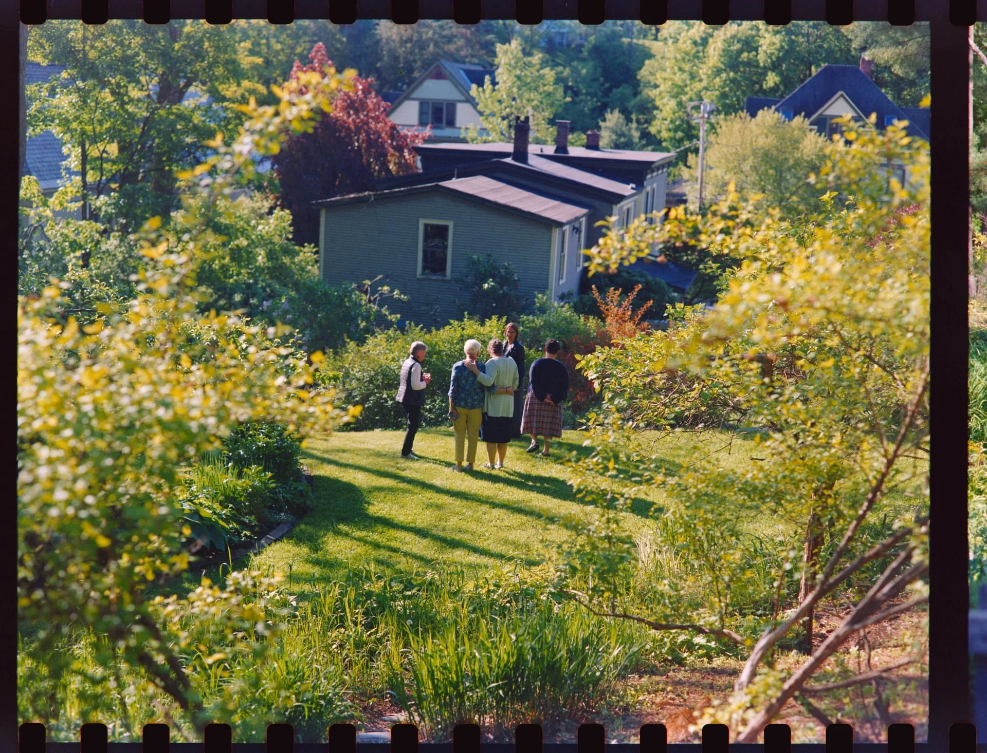 A group of seven people, including women and men, standing and walking on a lush green lawn in a garden with flowering bushes and trees, with houses in the background on a sunny day.