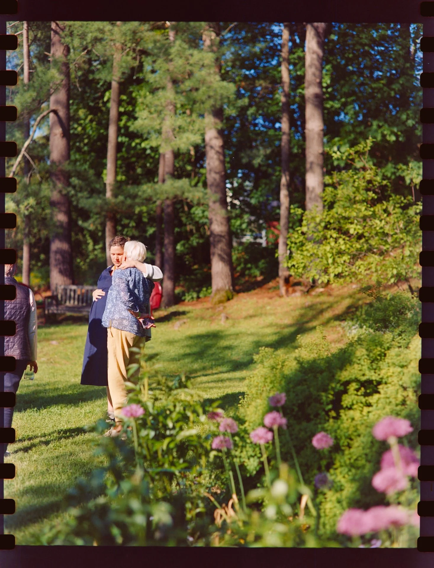 Two women embracing in a park with tall trees, green foliage, and flowers in the foreground.