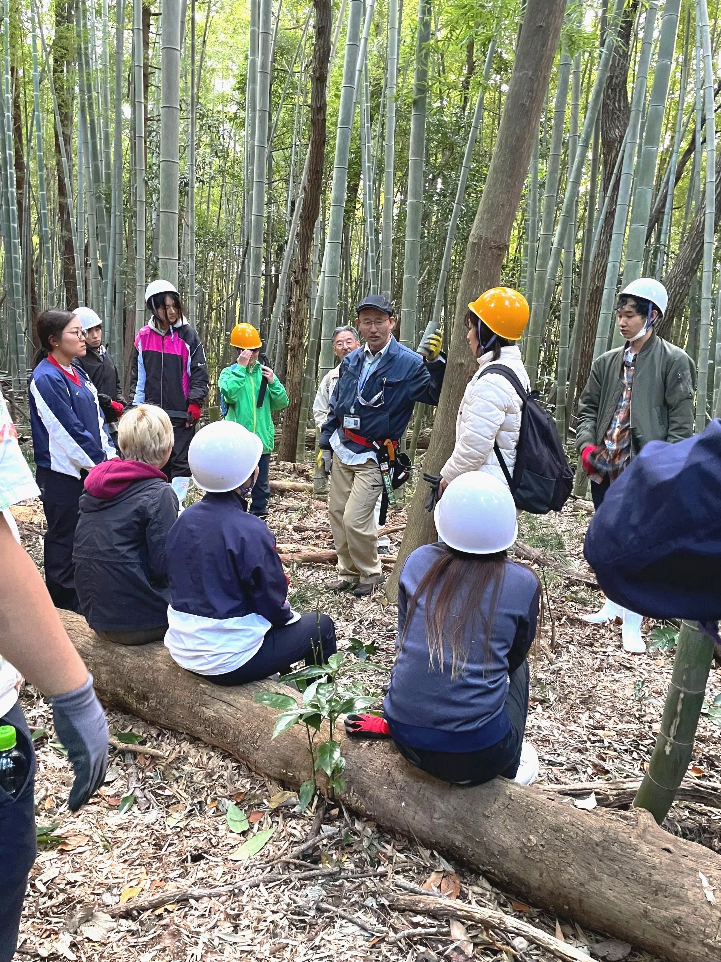Group of people in a bamboo forest, some seated on a fallen log, others standing, listening to guide with safety helmets.