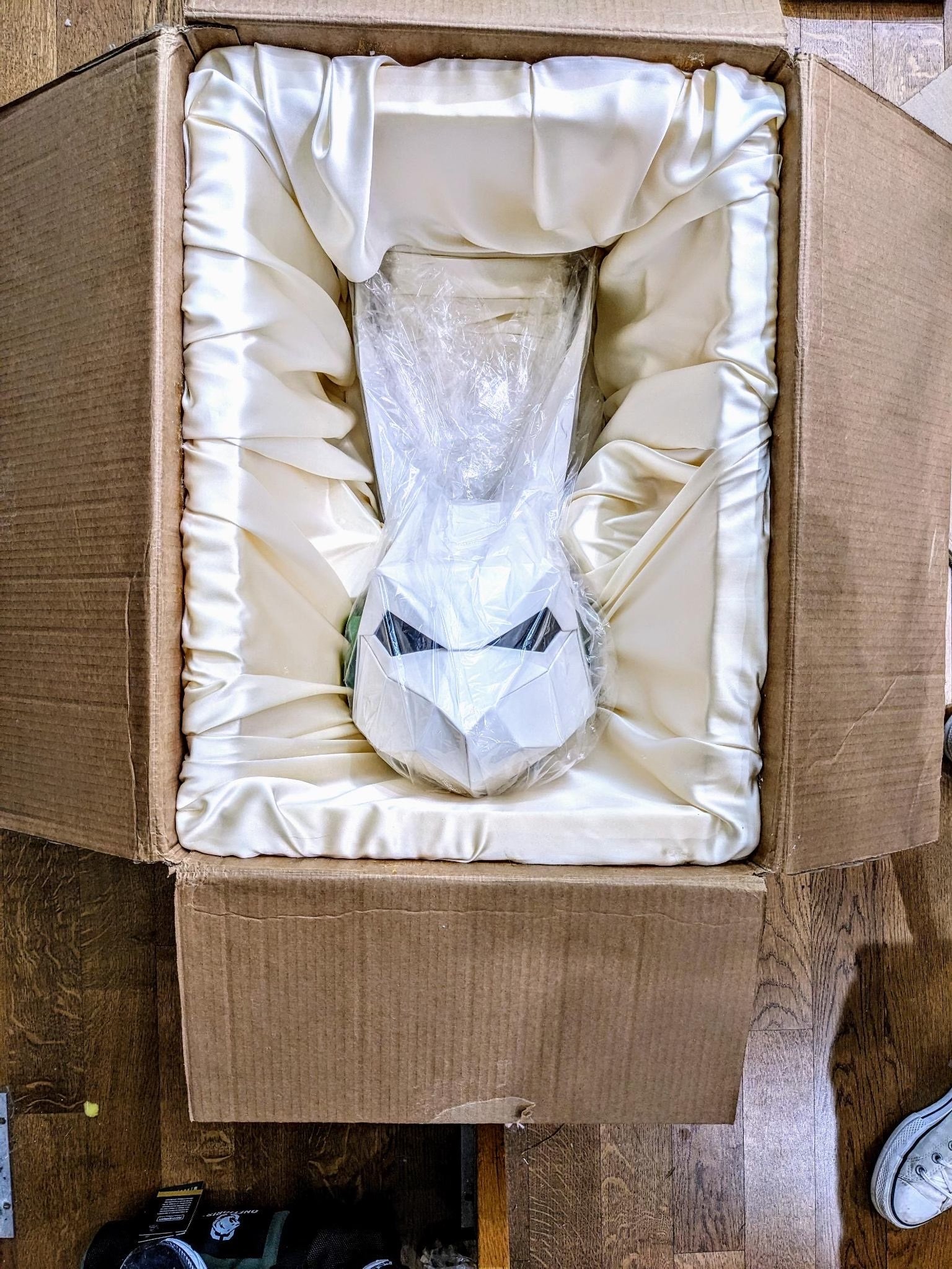 Mask in box.jpg