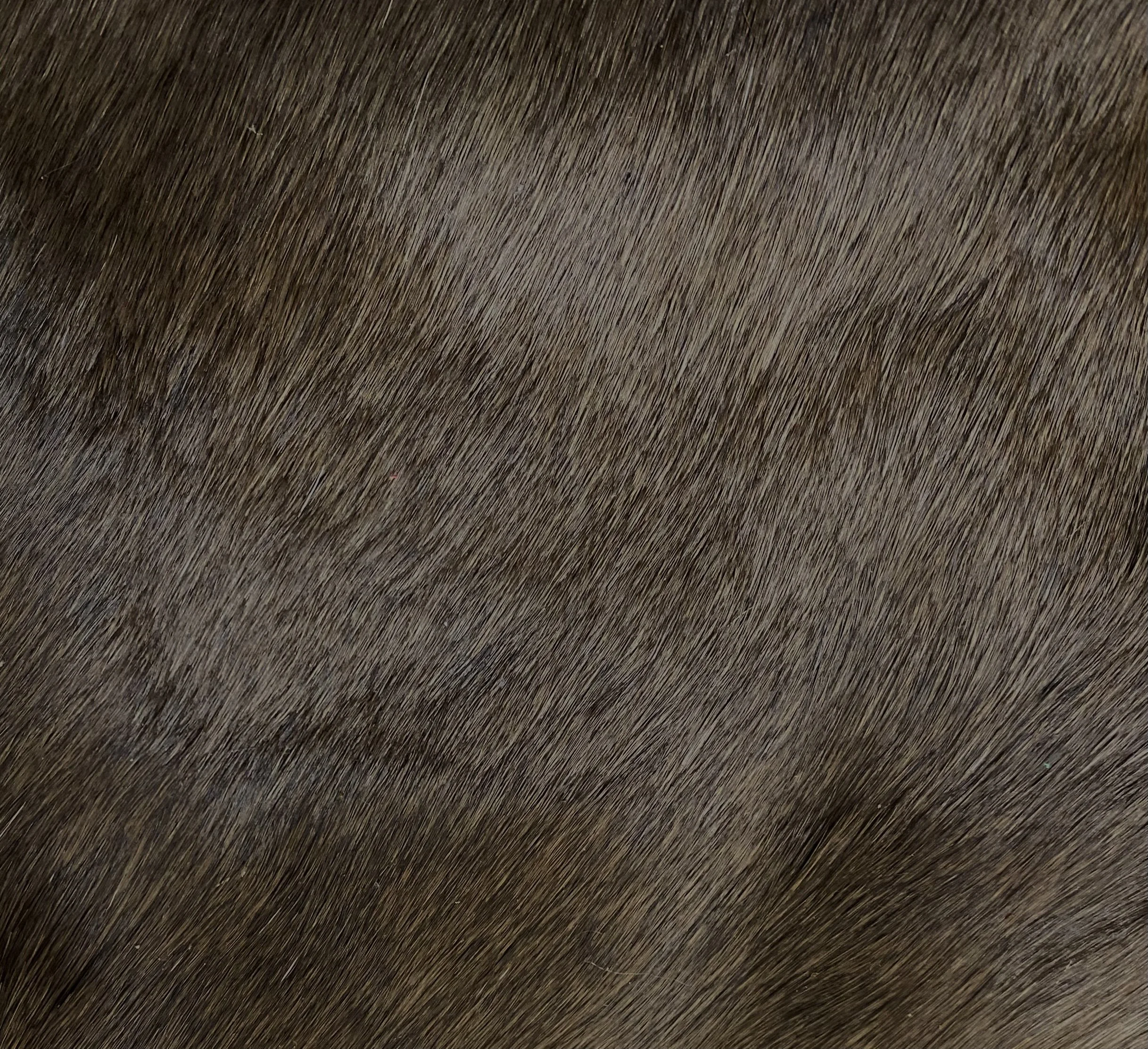 Deer Hair-on-Hide