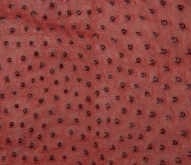 Embossed Ostrich