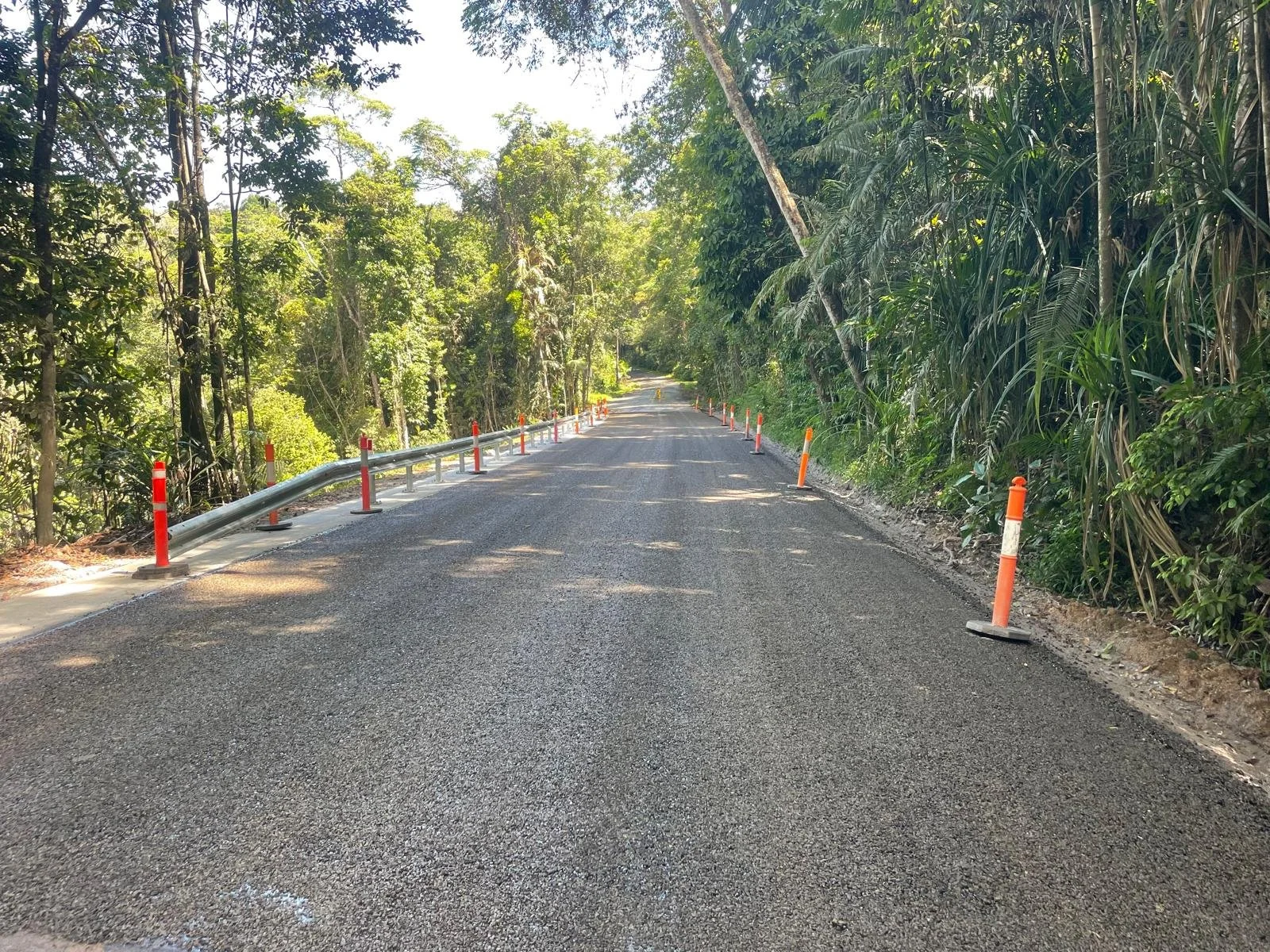 Newly sealed road with guardrail through dense rainforest, with traffic cones marking the edge of recent civil works in Far North Queensland.