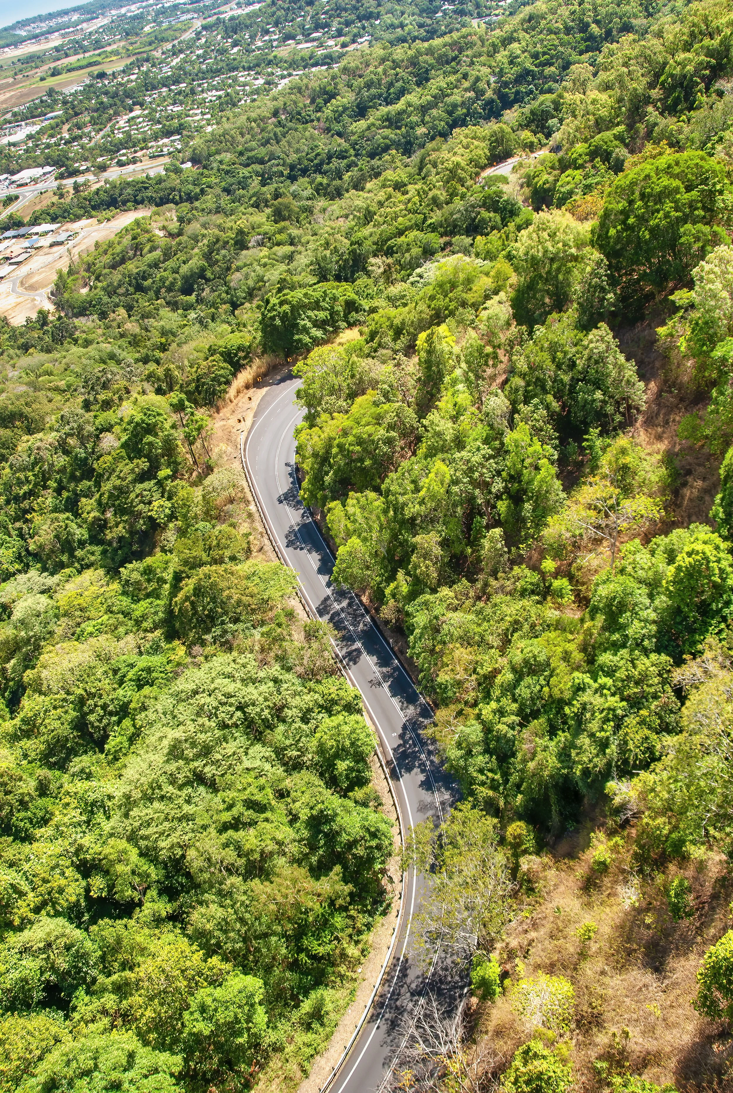 An aerial view of a winding road through a dense green forest, with a residential area visible in the distance.