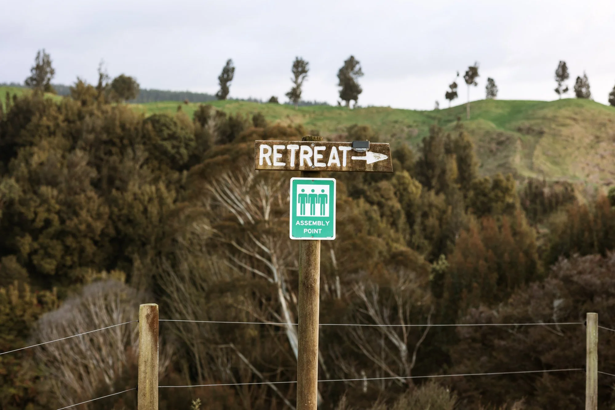 Tiny-Outlooks-kokako-retreat-Alice-Veysey-NZ lifestyle photographer-3128.jpg