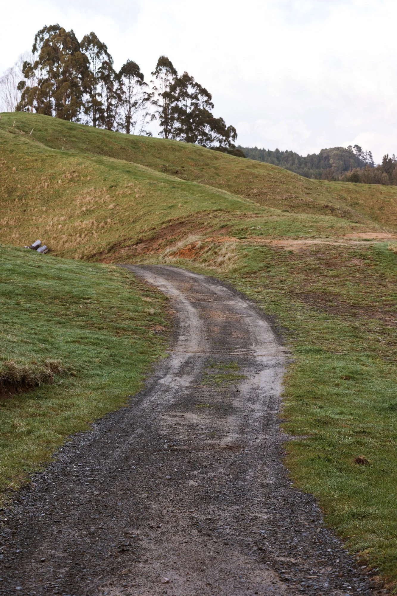 Tiny-Outlooks-kokako-retreat-Alice-Veysey-NZ lifestyle photographer-3131.jpg