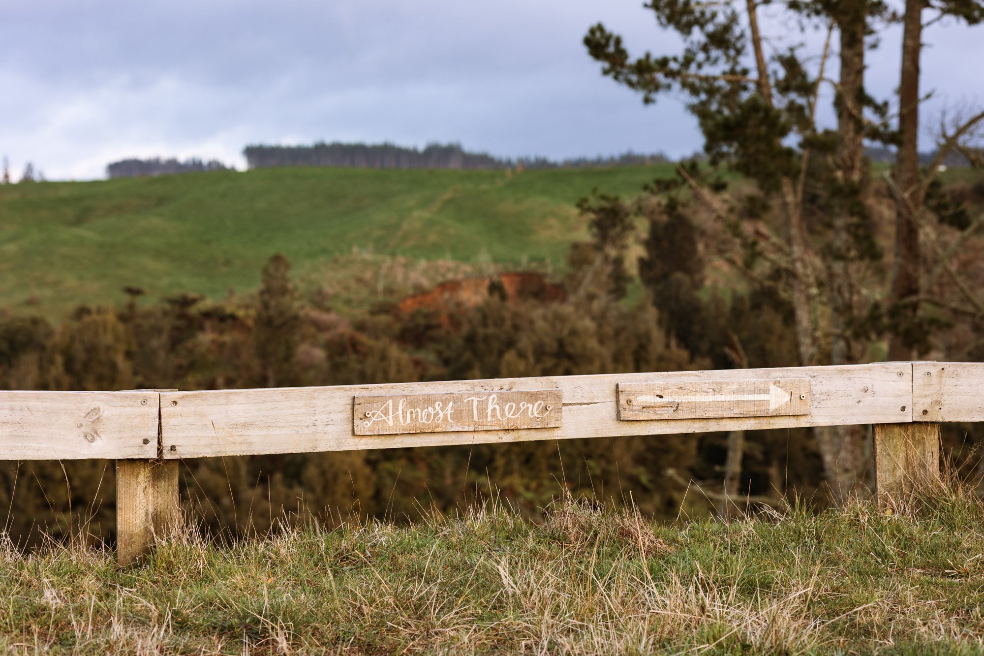 Tiny-Outlooks-kokako-retreat-Alice-Veysey-NZ lifestyle photographer-3129.jpg