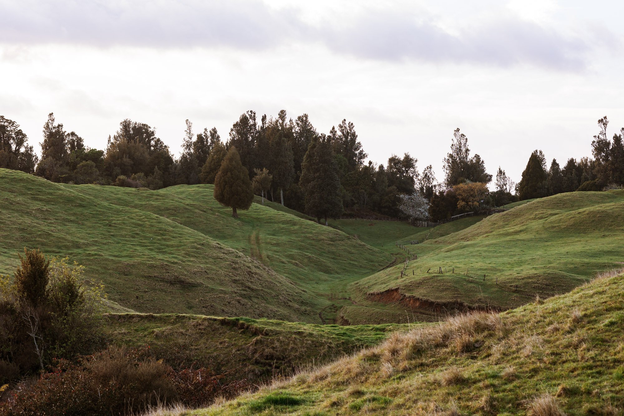 Tiny-Outlooks-kokako-retreat-Alice-Veysey-NZ lifestyle photographer-3136.jpg