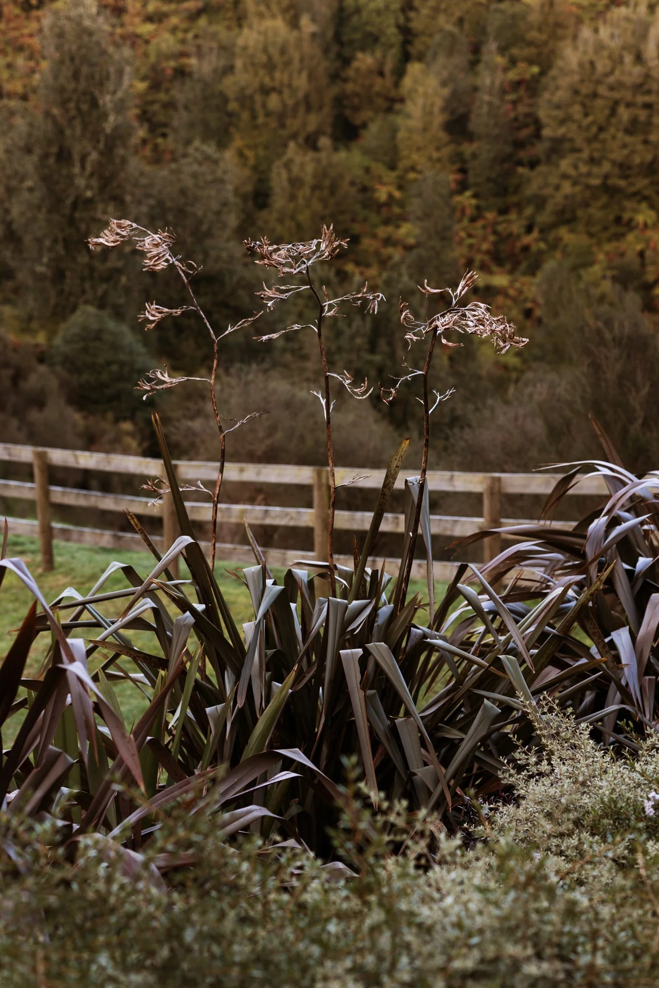 Tiny-Outlooks-kokako-retreat-Alice-Veysey-NZ lifestyle photographer-3113.jpg