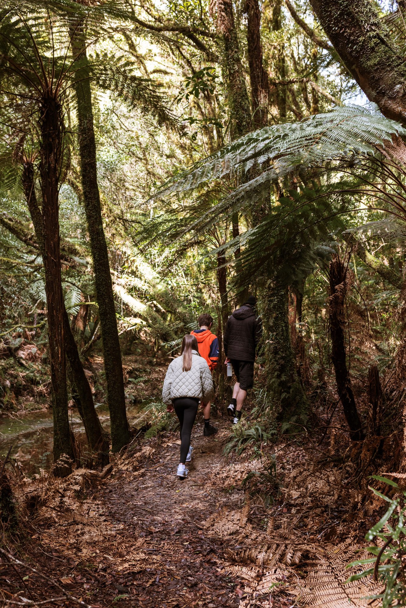 Tiny-Outlooks-kokako-retreat-Alice-Veysey-NZ lifestyle photographer-1668.jpg