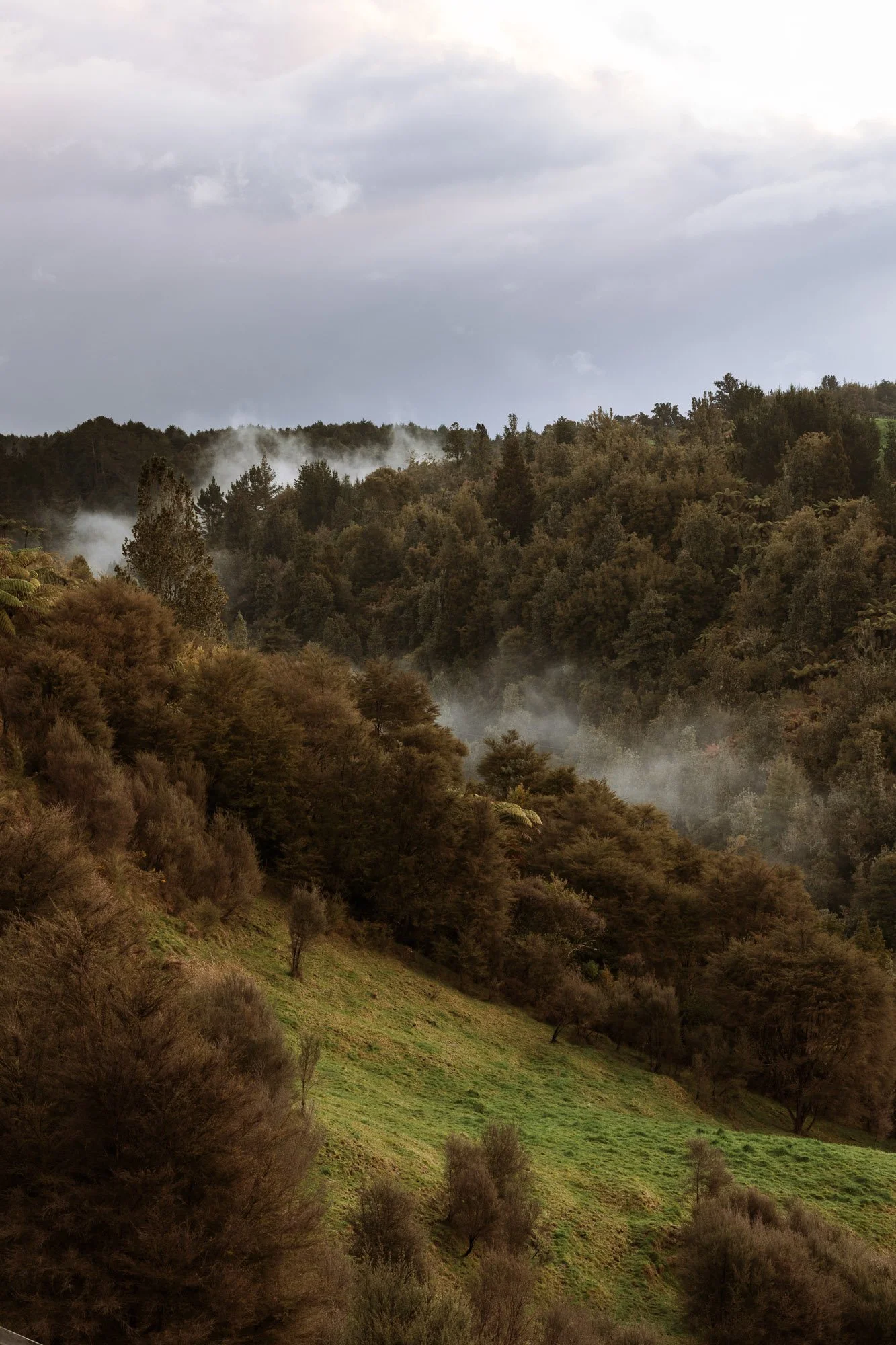 Tiny-Outlooks-kokako-retreat-Alice-Veysey-NZ lifestyle photographer-3146.jpg