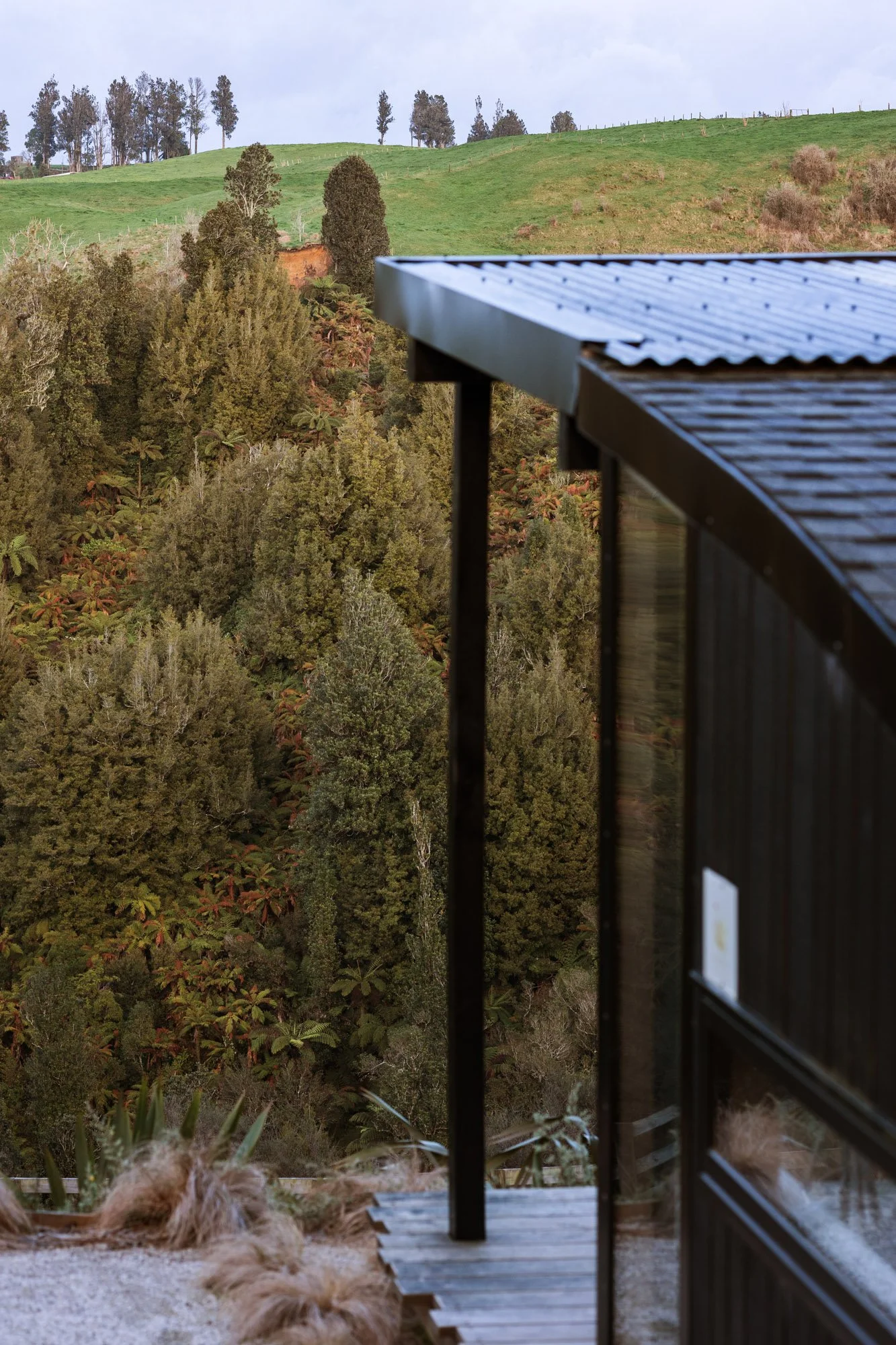 Tiny-Outlooks-kokako-retreat-Alice-Veysey-NZ lifestyle photographer-3122.jpg