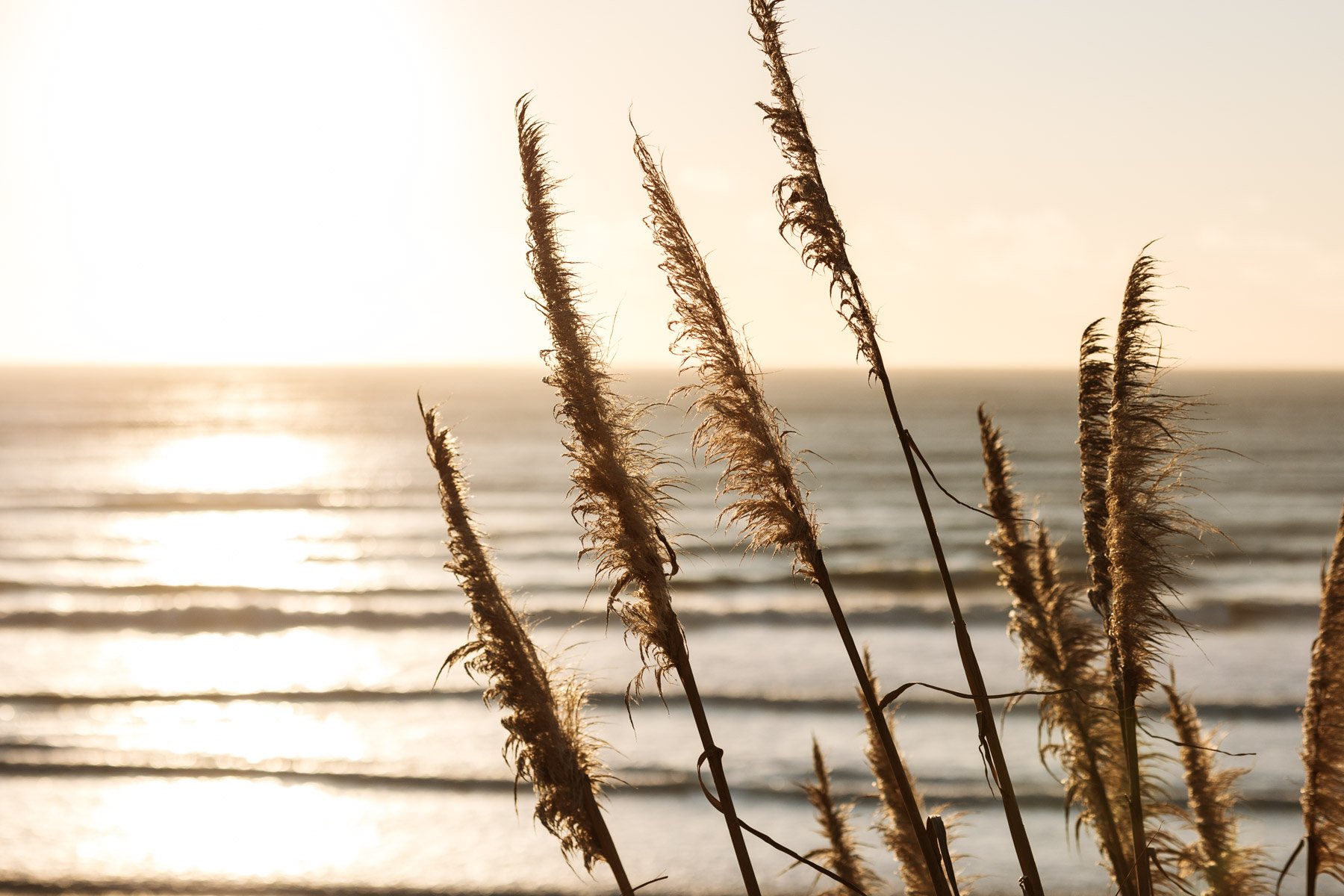 Tiny Outlooks - Three Streams - Raglan