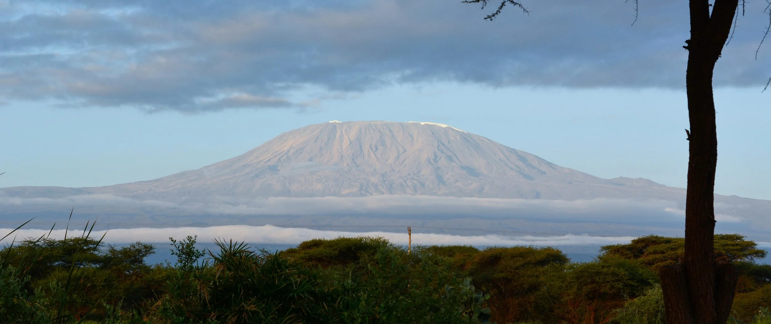 Kilimanjaro