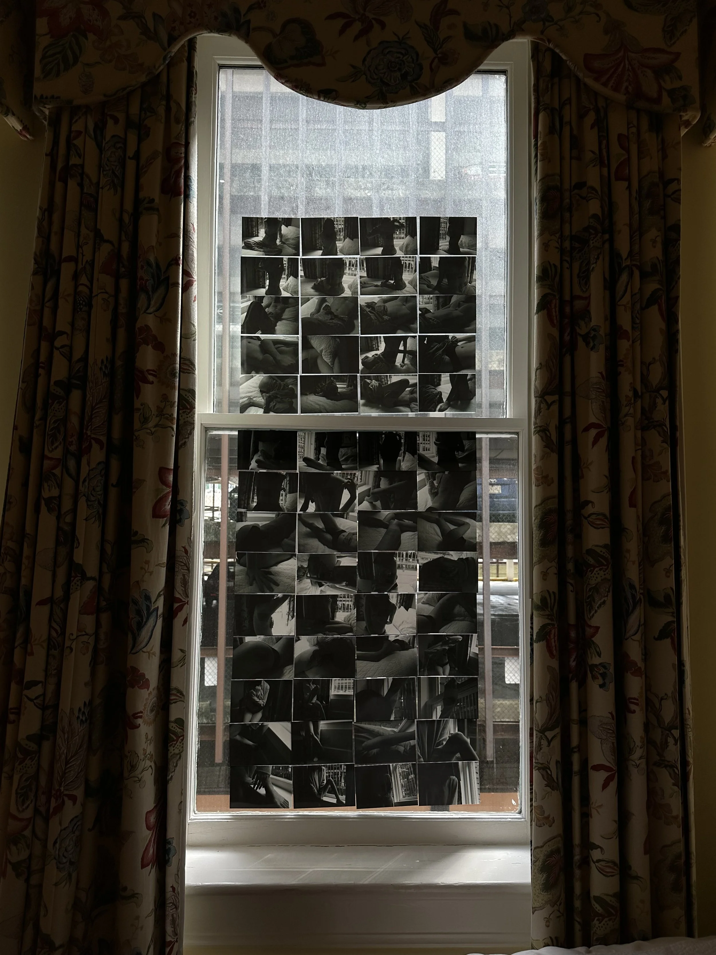 IMG_9016.jpeg
