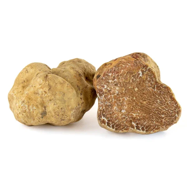 White Truffle (Tuber Magnatum)