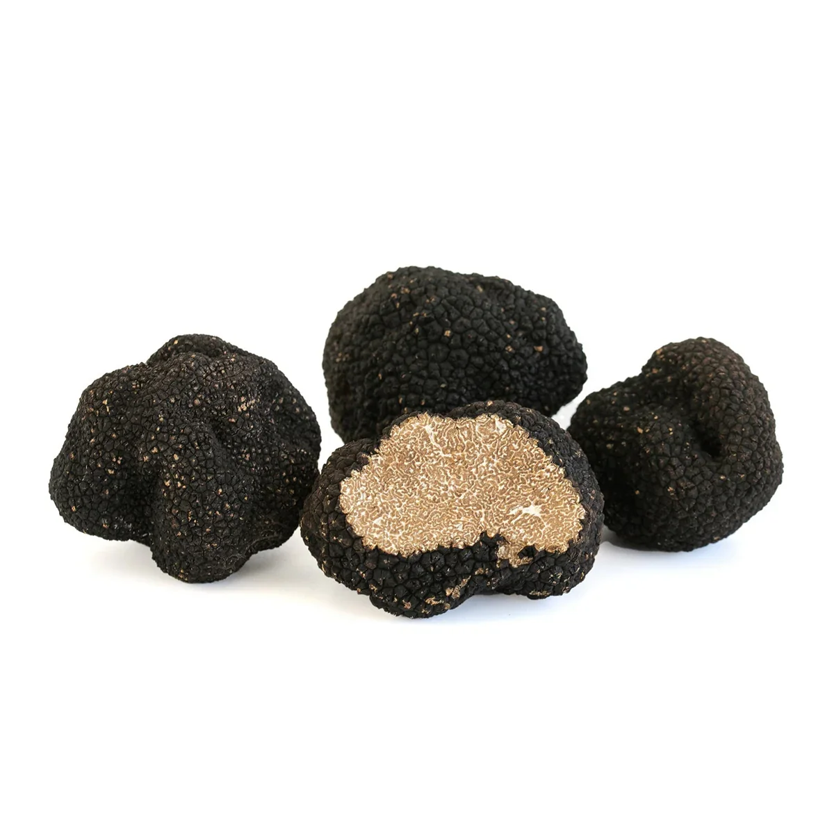 Burgundy Truffle (Tuber Uncinatum)