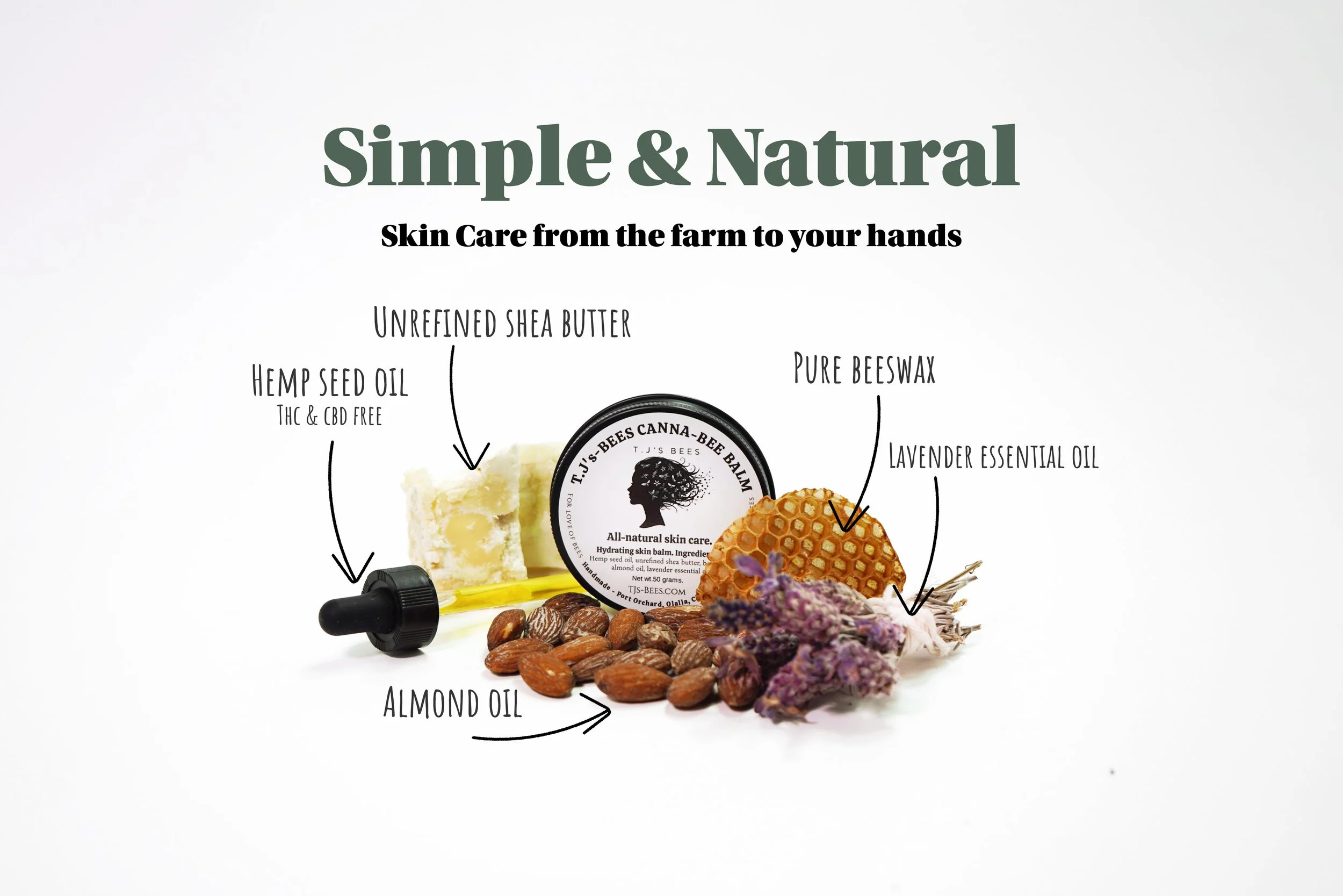 Canna-bee balm lavender New Graphic_Original.JPG