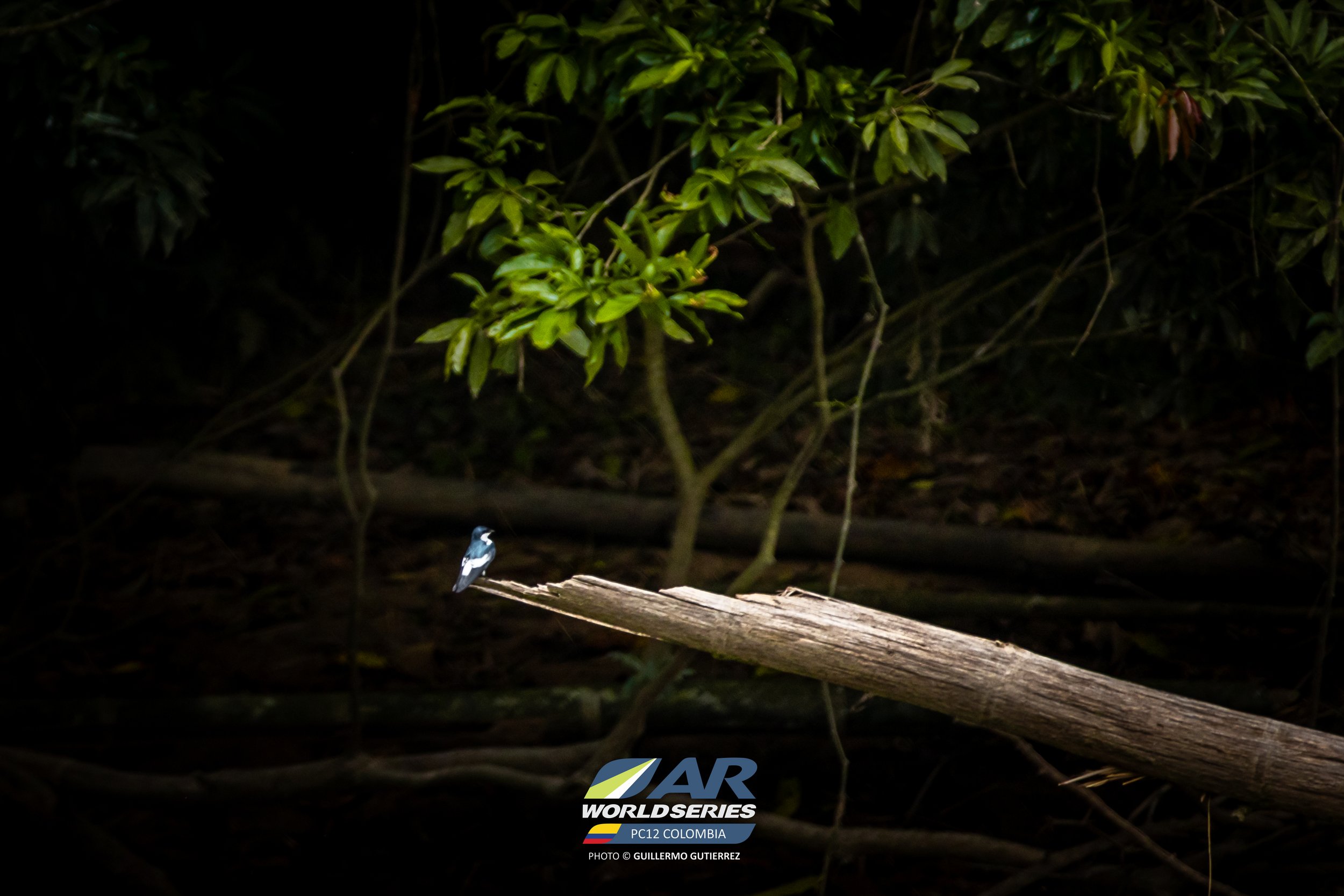 PC12_2026@_guillermogutierrez (485).jpg