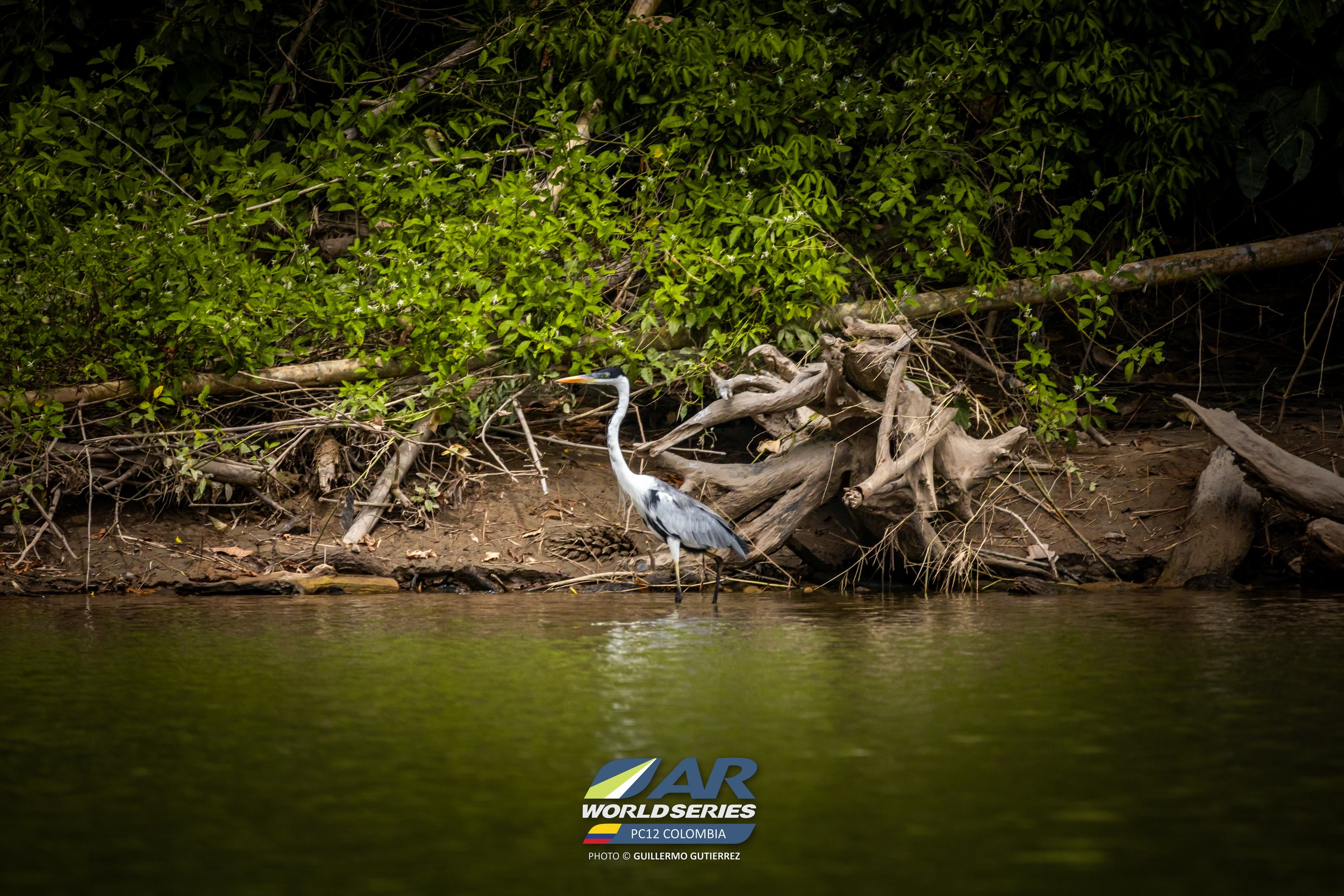 PC12_2026@_guillermogutierrez (491).jpg