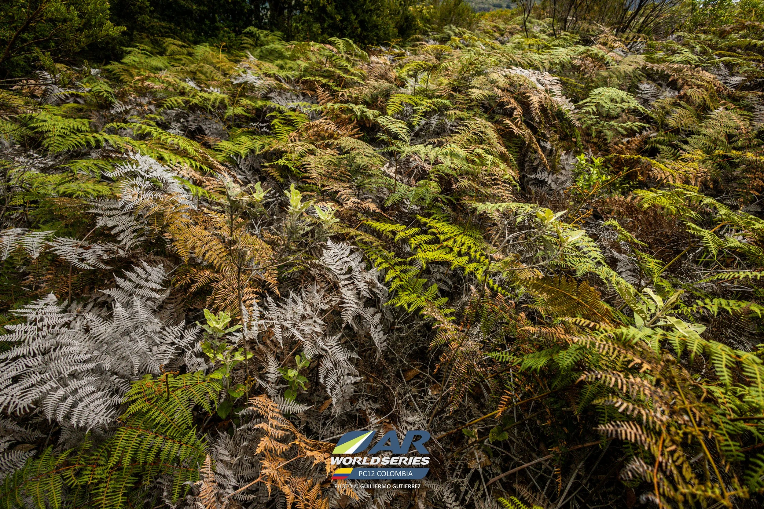 PC12_2026@_guillermogutierrez (149).jpg