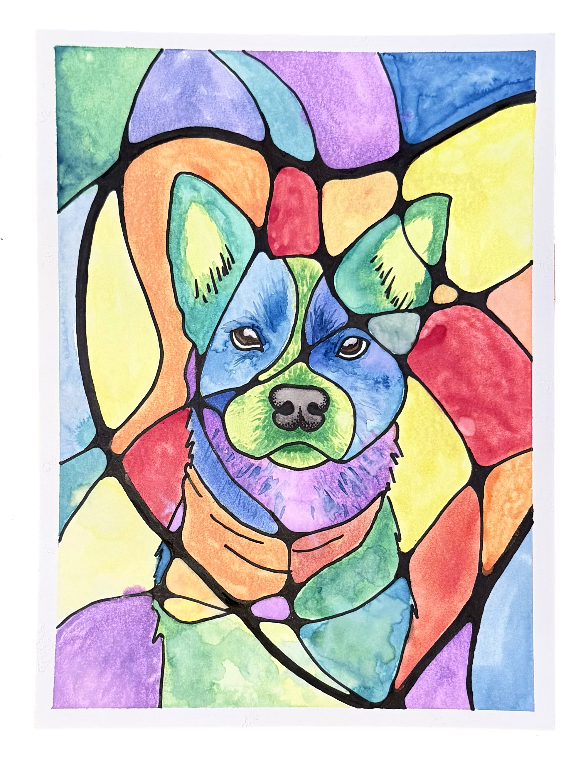 Colorful watercolor portrait of a cattle dog.