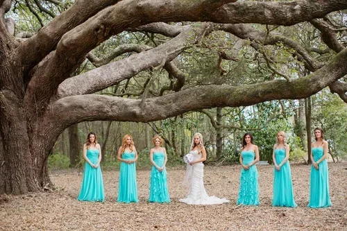 Professional Photo Gallery4.webp